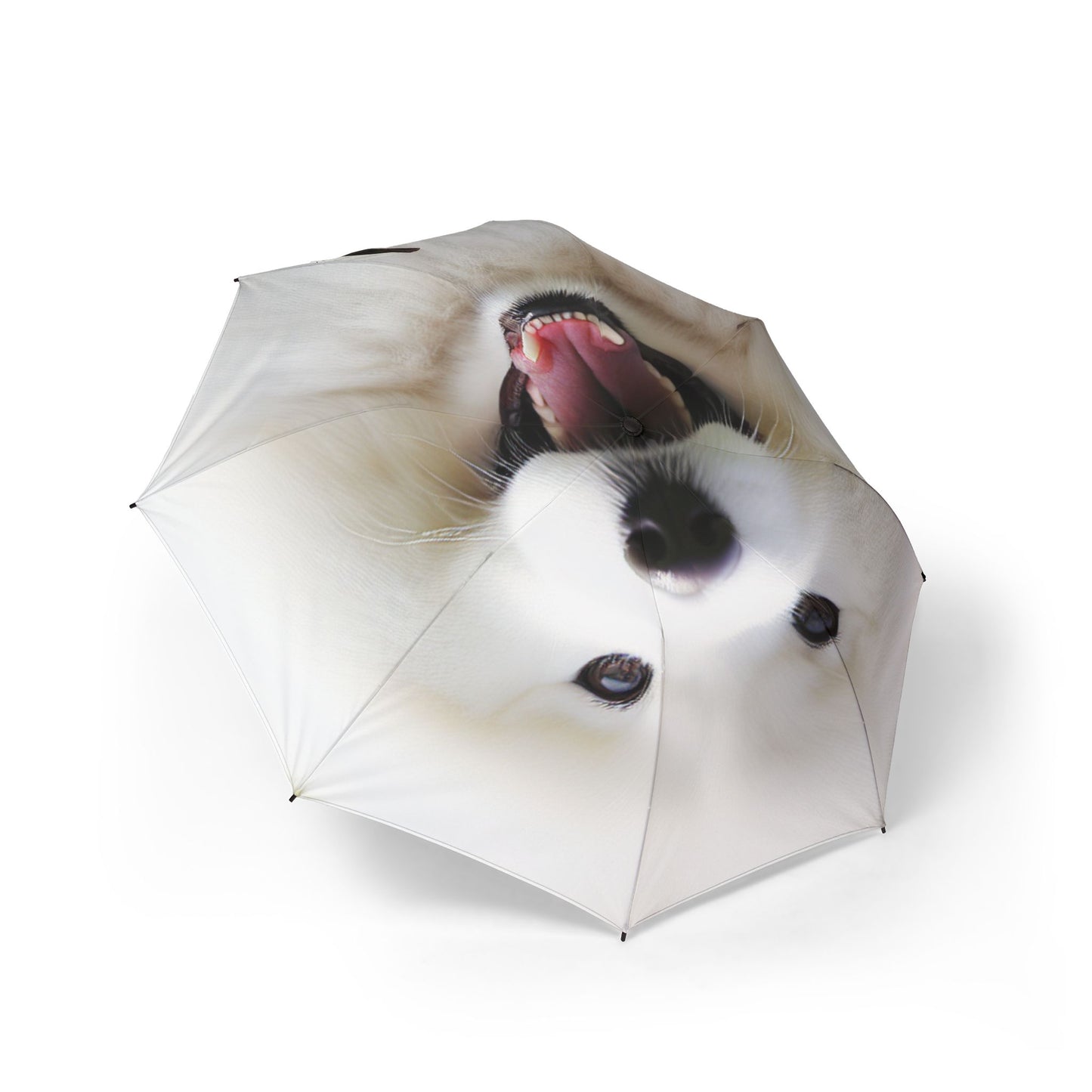 Samoyed Semi-Automatic Foldable Umbrella