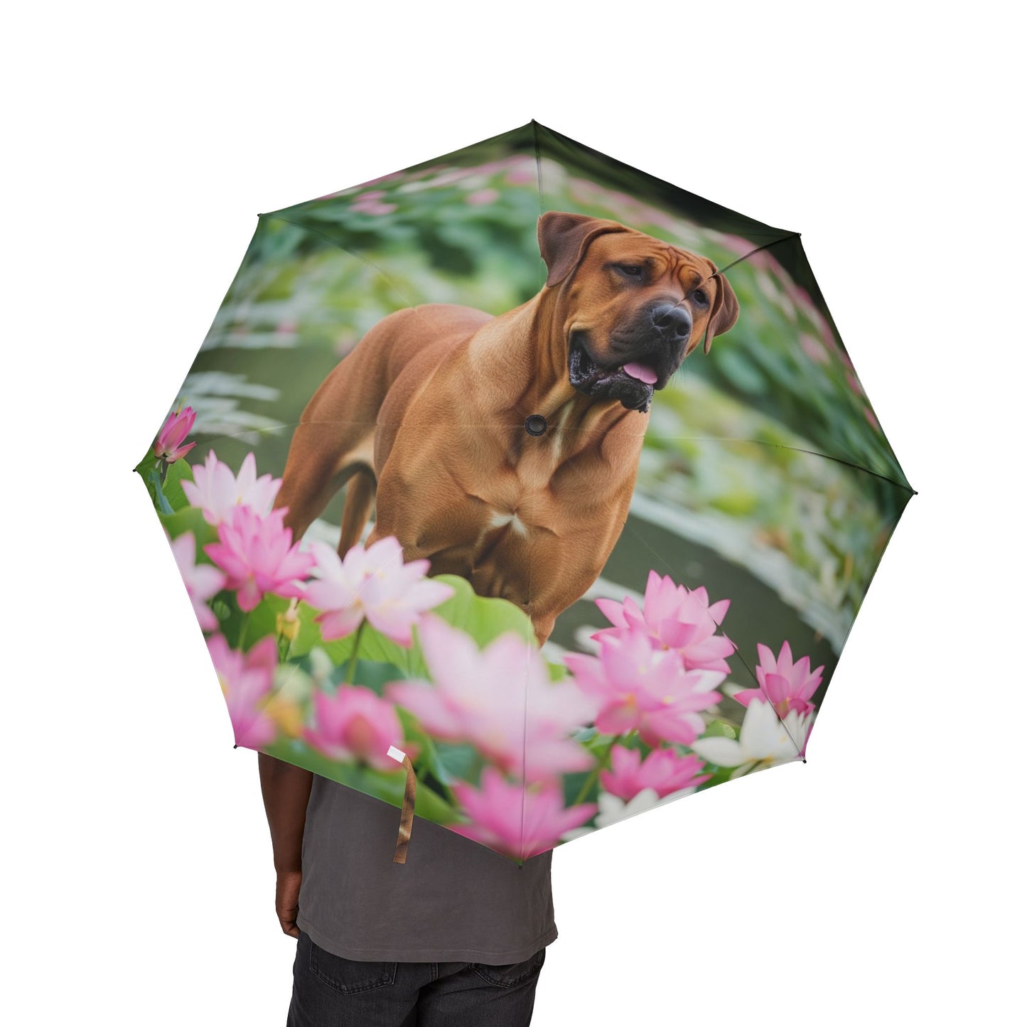Tosa Semi-Automatic Foldable Umbrella