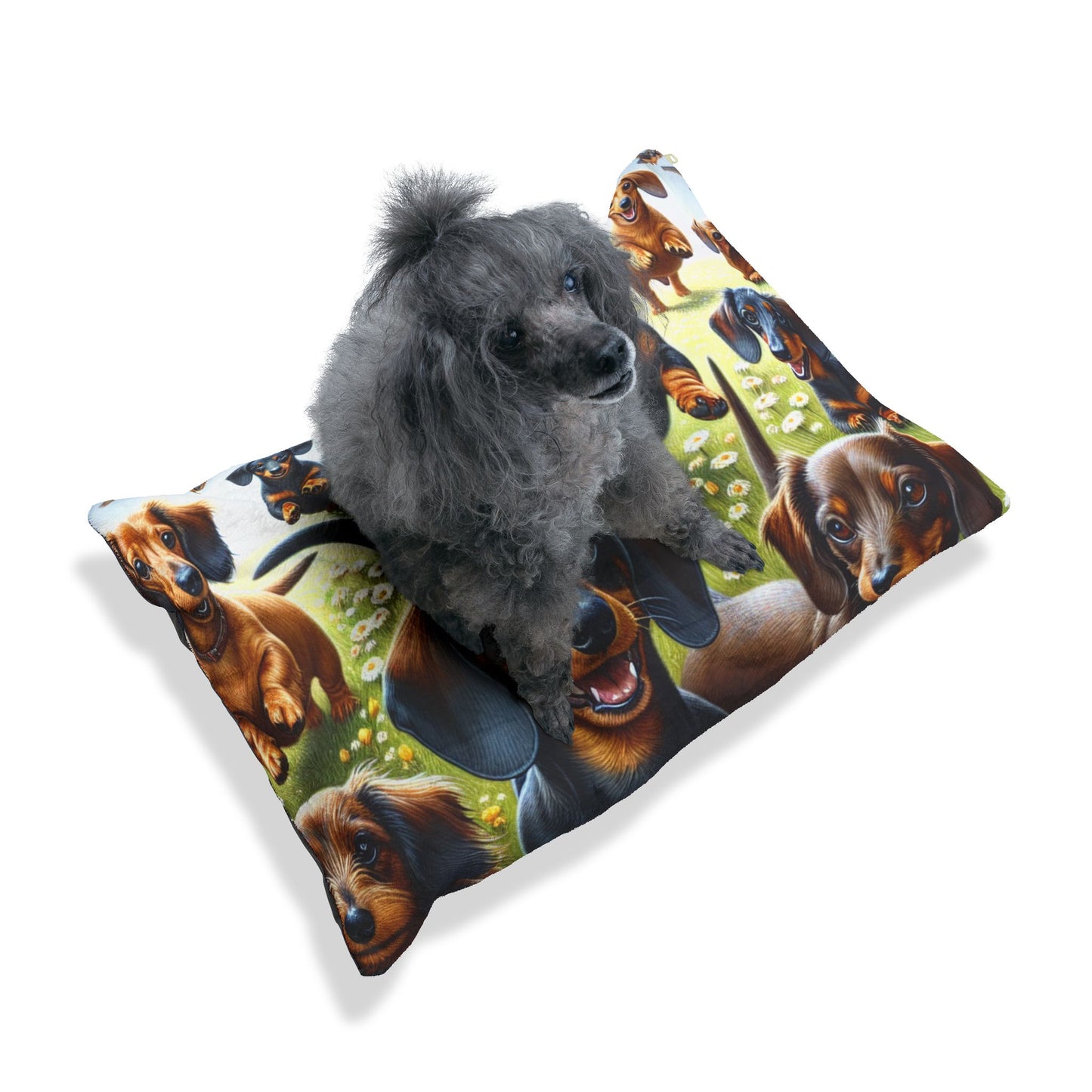 Dachshund Pet Bed