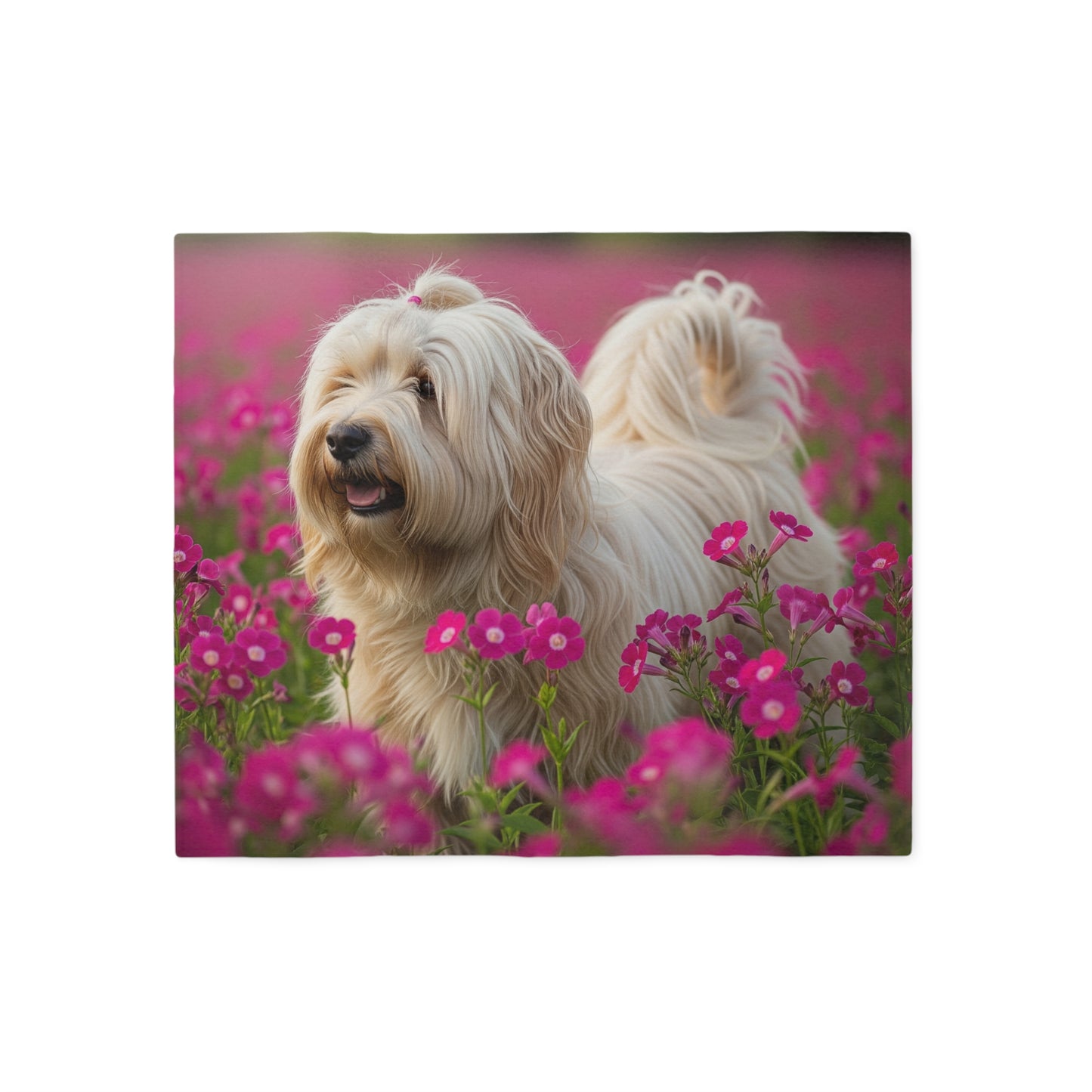 Tibetan Terrier Sweatshirt Blanket