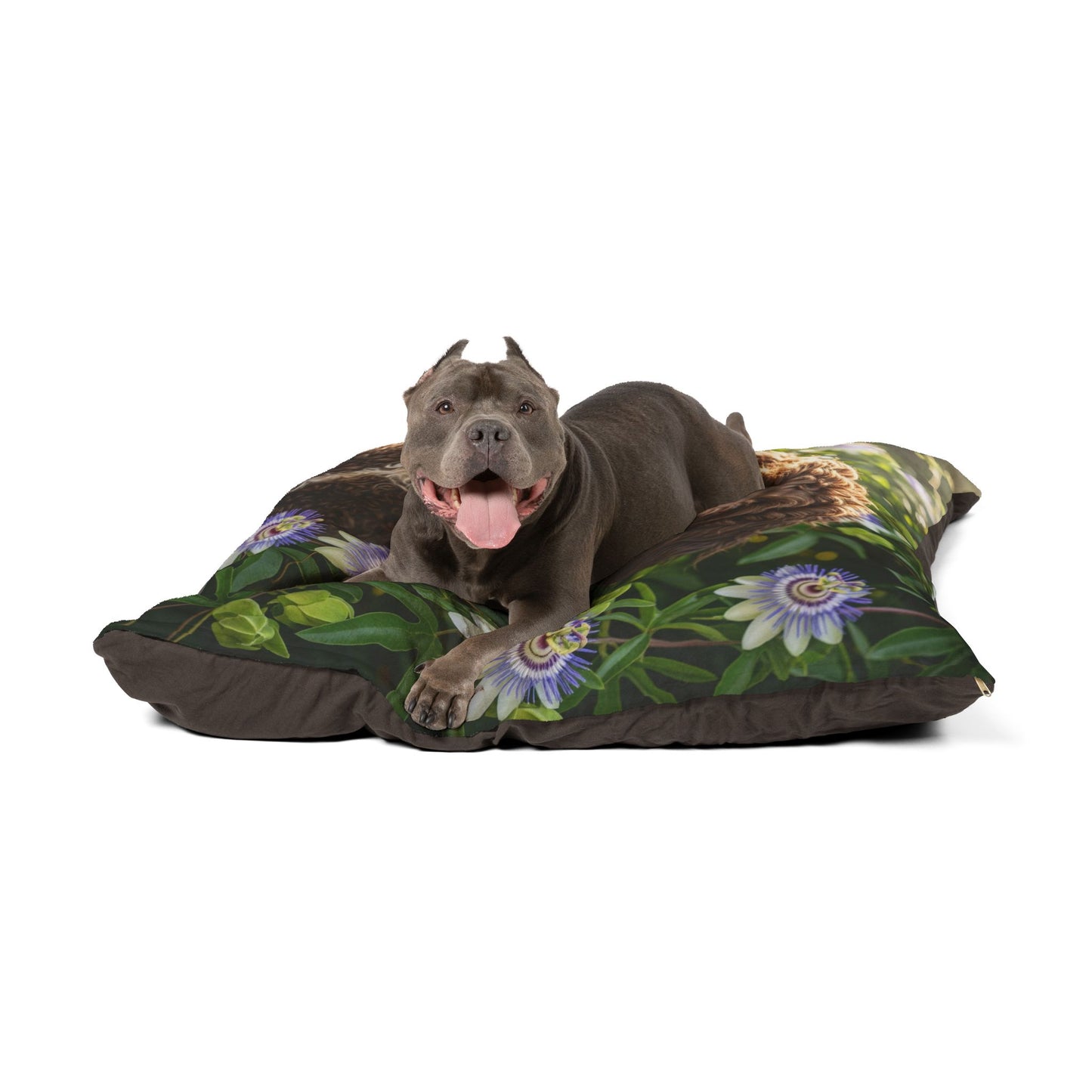 Spanish Water Dog Pet Bed