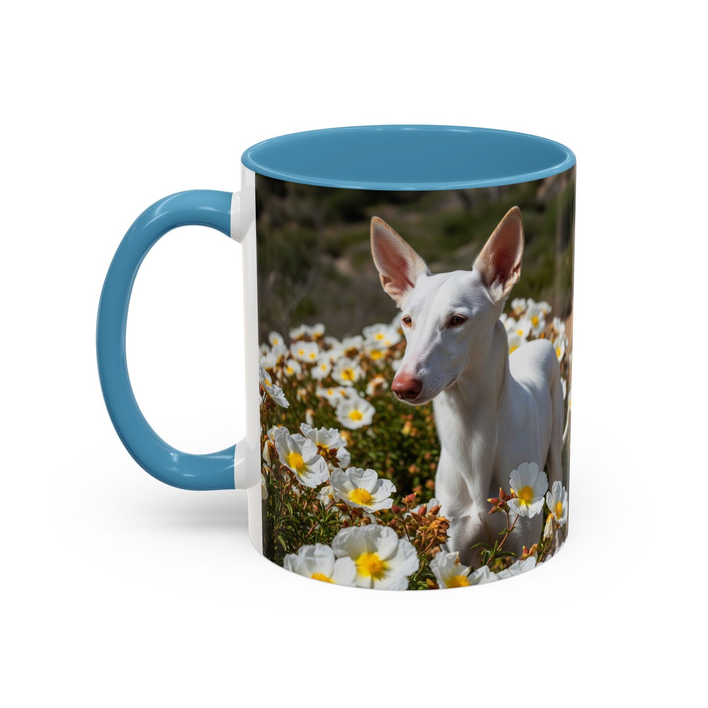 Ibizan Hound Accent Coffee Mug - Perfect Gift for Dog Lovers
