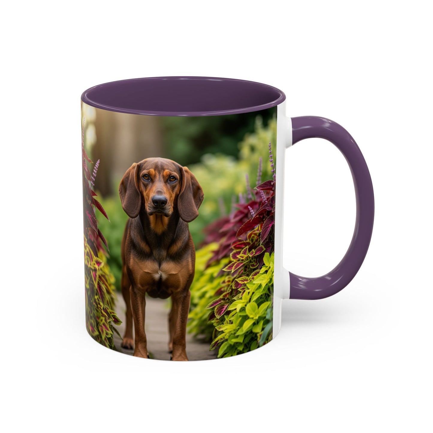 Hamiltonstovare Accent Coffee Mug - Perfect Gift for Dog Lovers