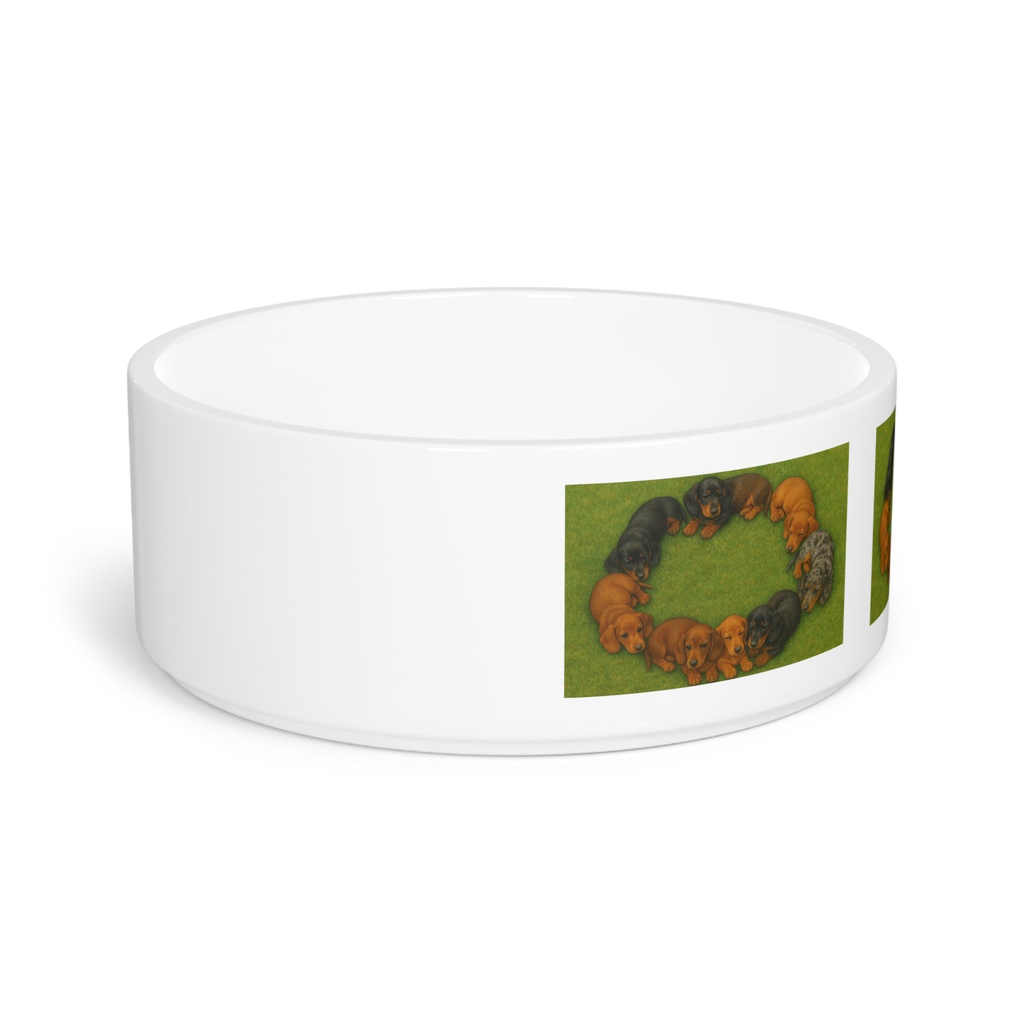 Dachshund puppies Pet Bowl