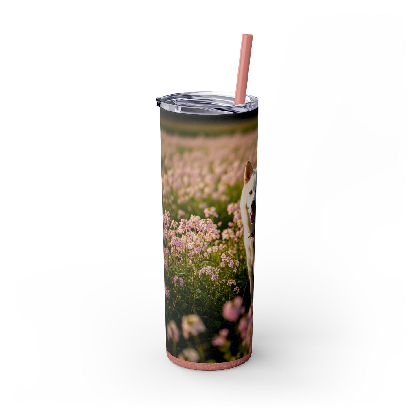 Kishu Ken Tumbler with Straw, 20oz