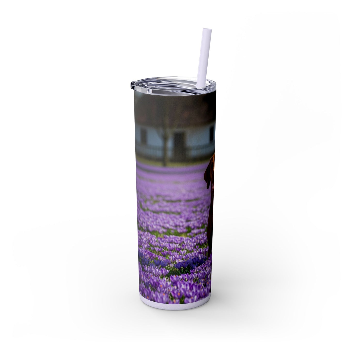 Vizsla Tumbler with Straw, 20oz