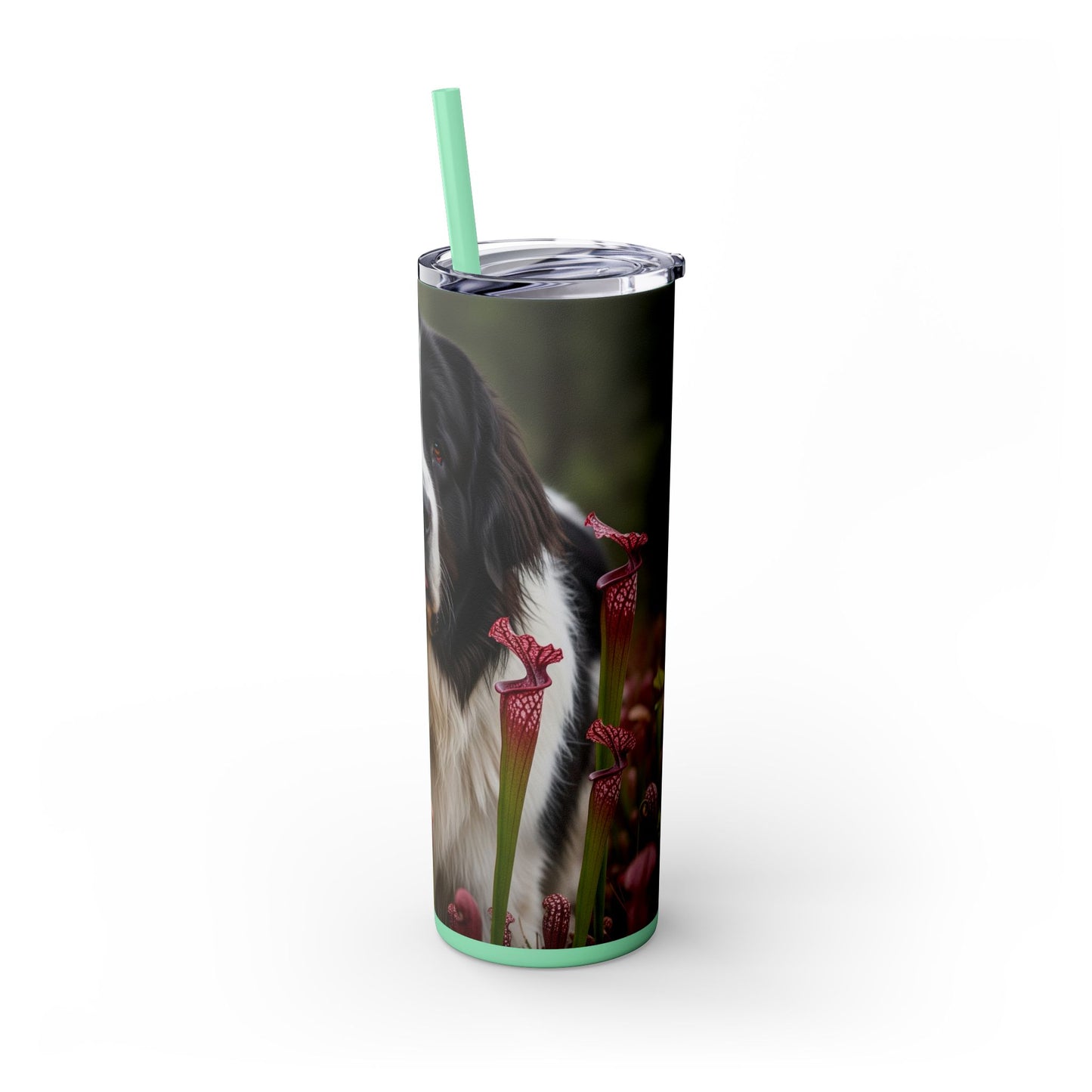 Landseer Tumbler with Straw, 20oz