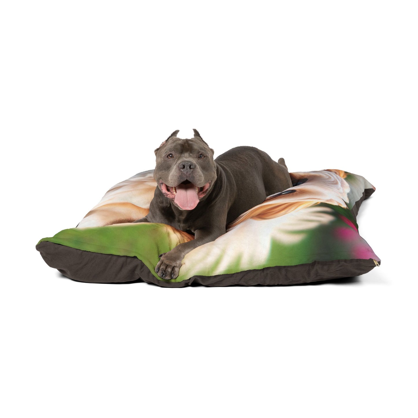 Shih-poo Pet Bed