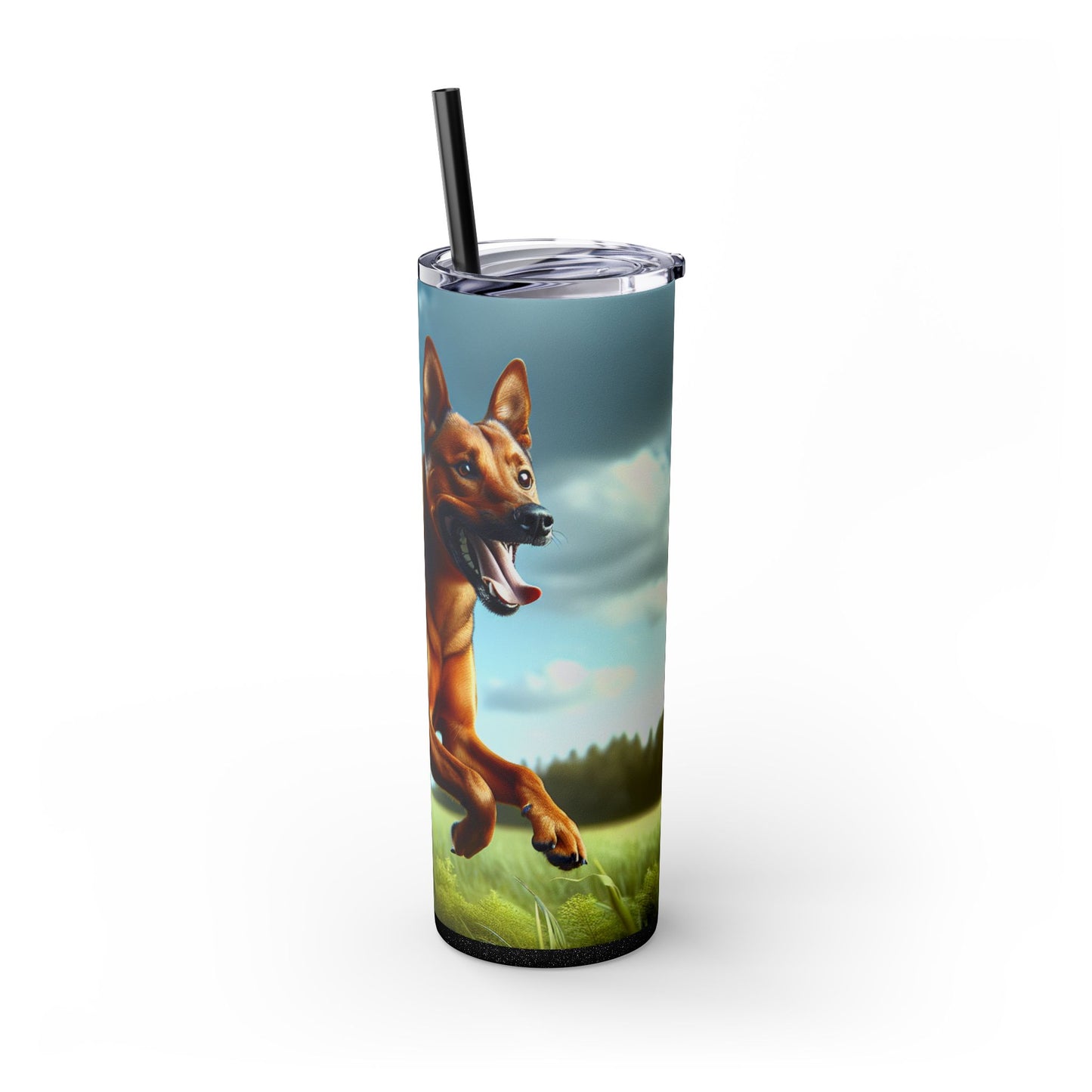 Kanni Tumbler with Straw, 20oz