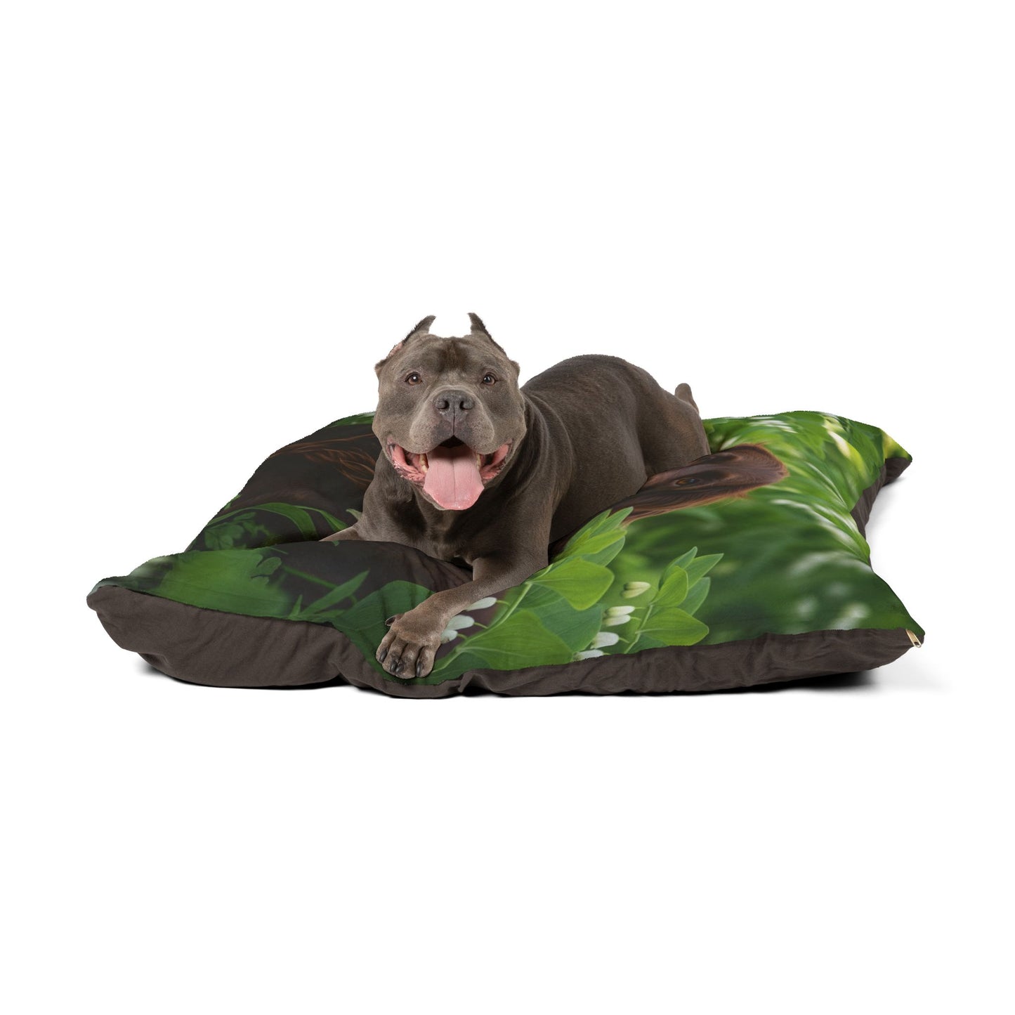Field Spaniel Pet Bed