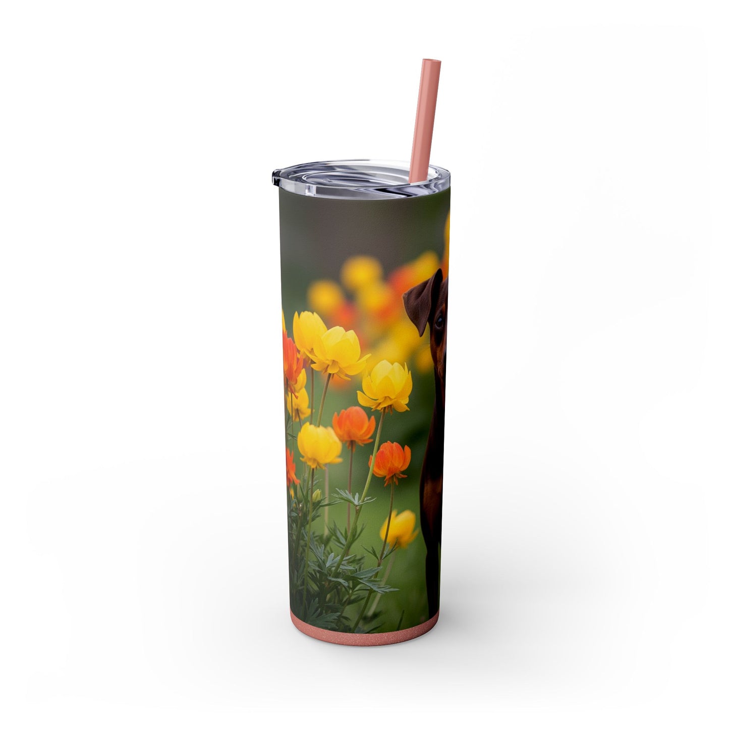 Miniature Pinscher Skinny Tumbler with Straw, 20oz