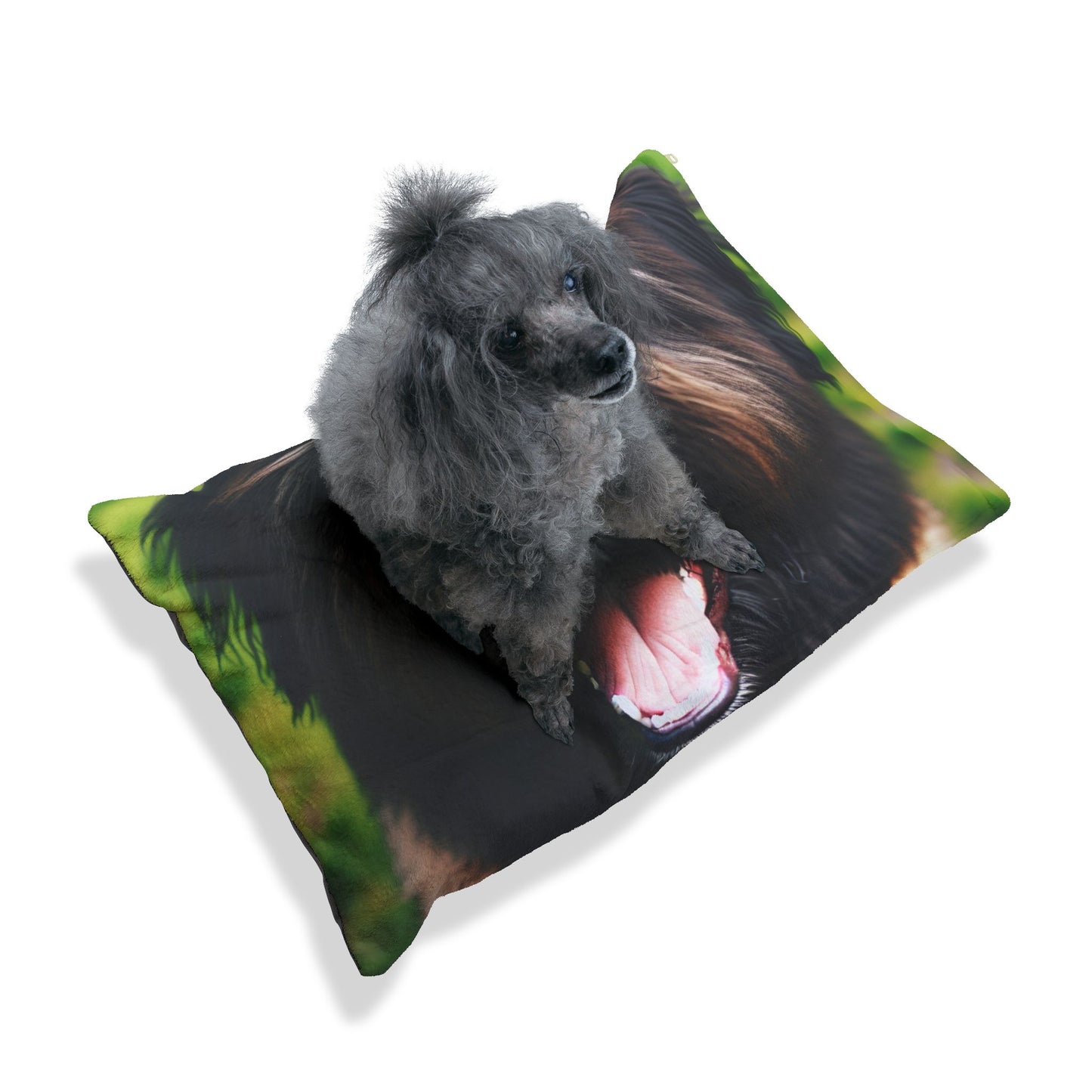 Bouvier des Ardennes Pet Bed