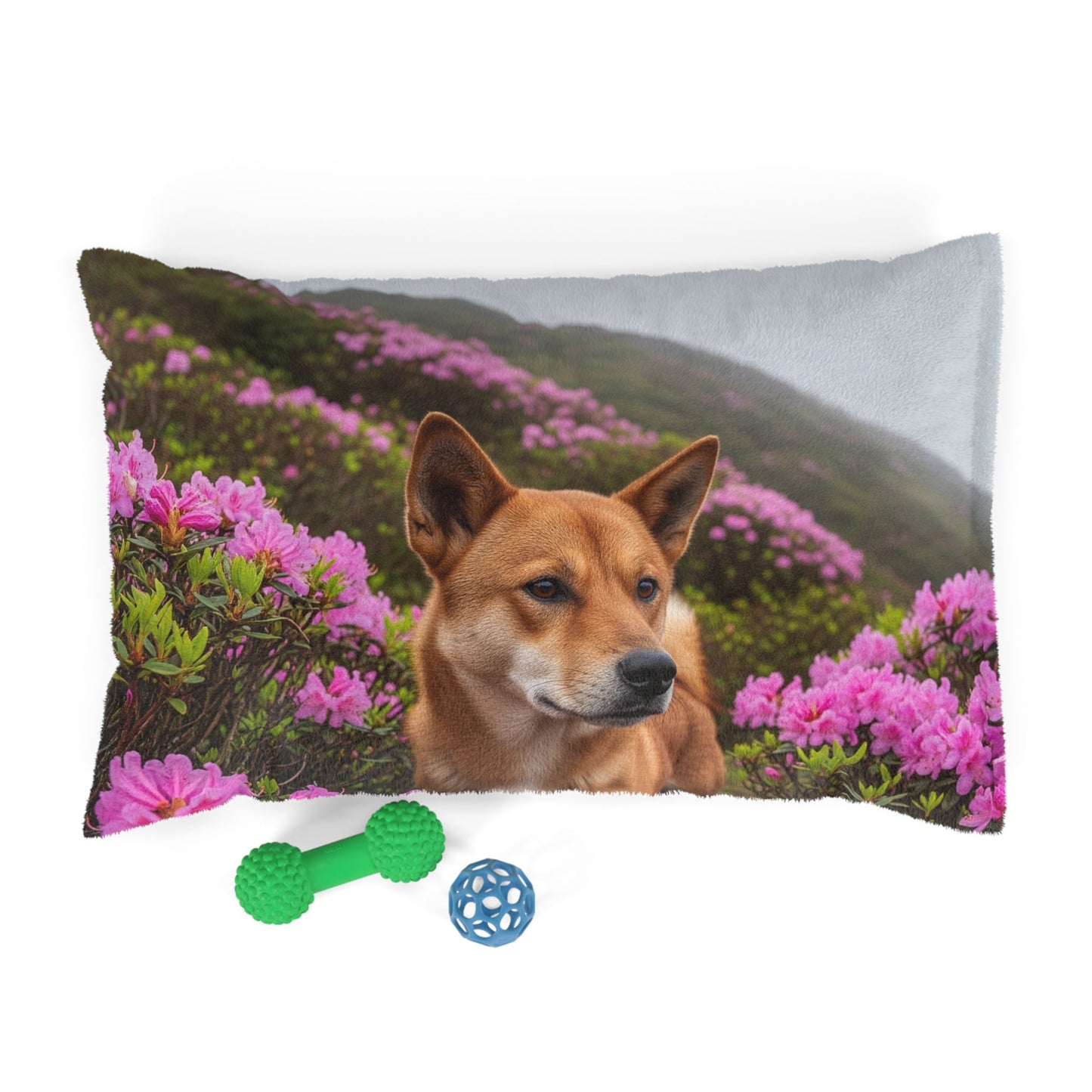 Taiwan Dog Pet Bed