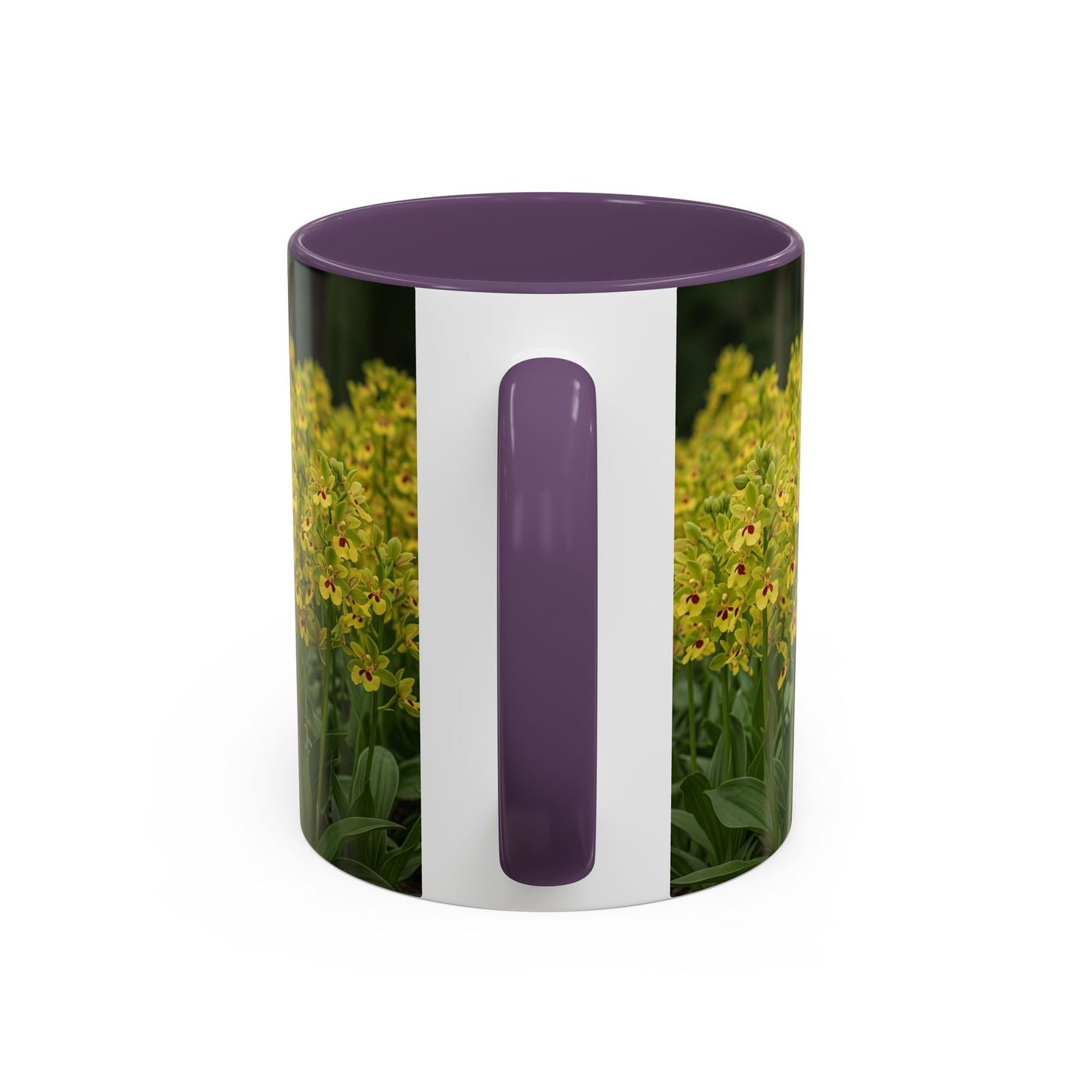 Basenji Accent Coffee Mug - Perfect Gift for Dog Lovers