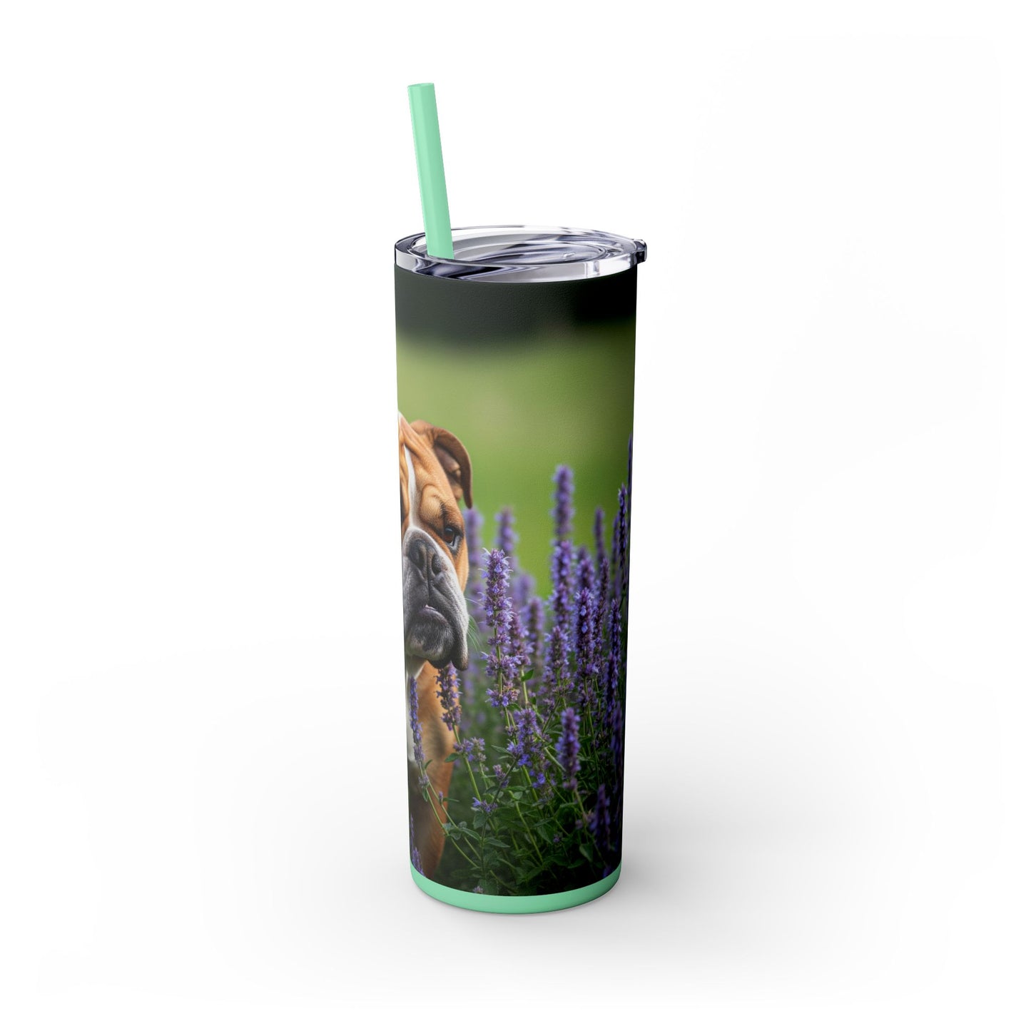 British Bulldog Tumbler with Straw, 20oz
