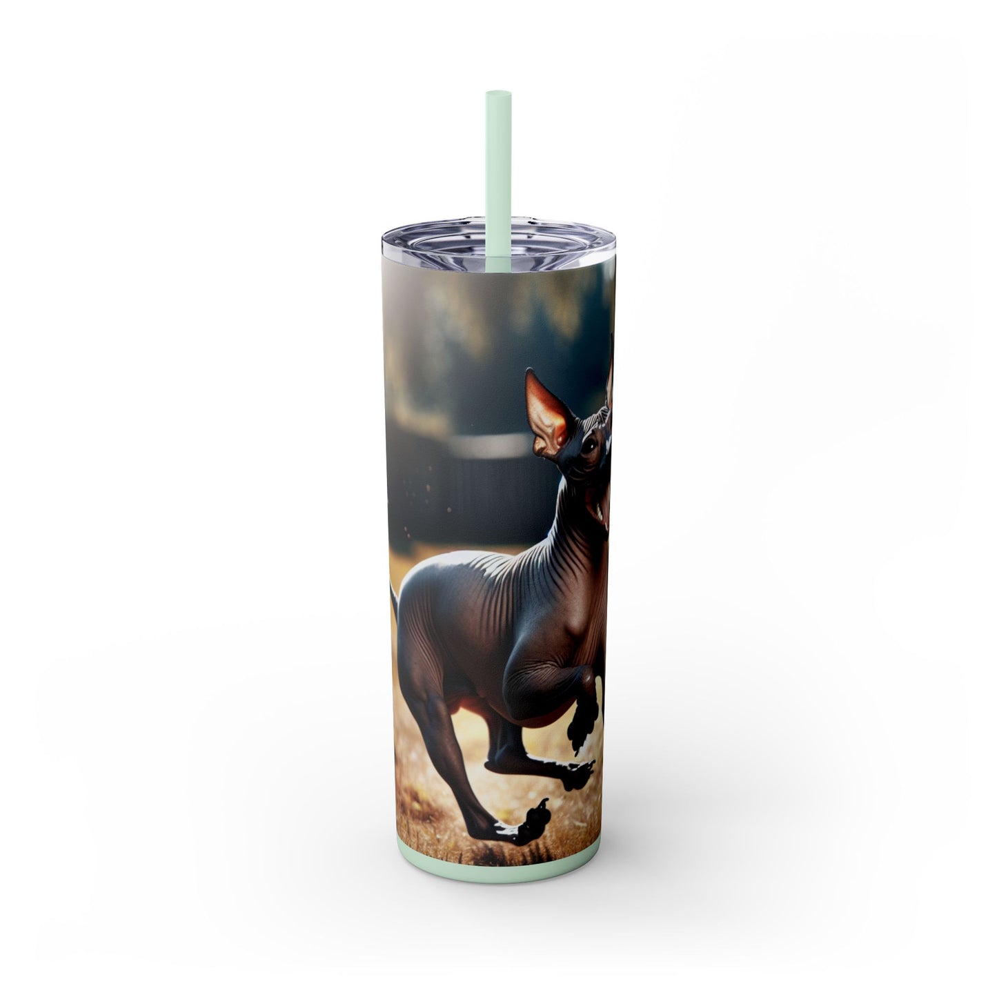 American Hairless Terrier Tumbler with Straw, 20oz