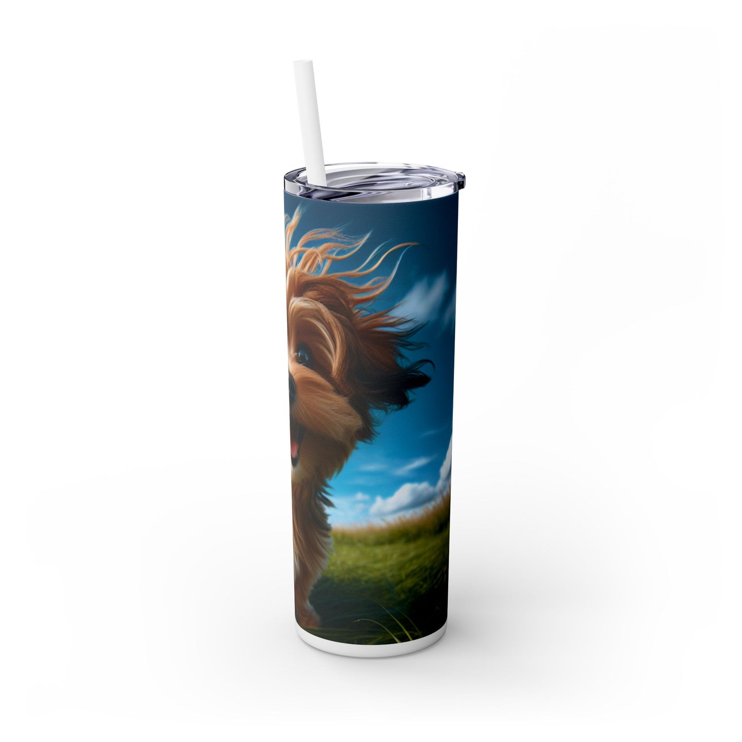 Kaikadi Tumbler with Straw, 20oz