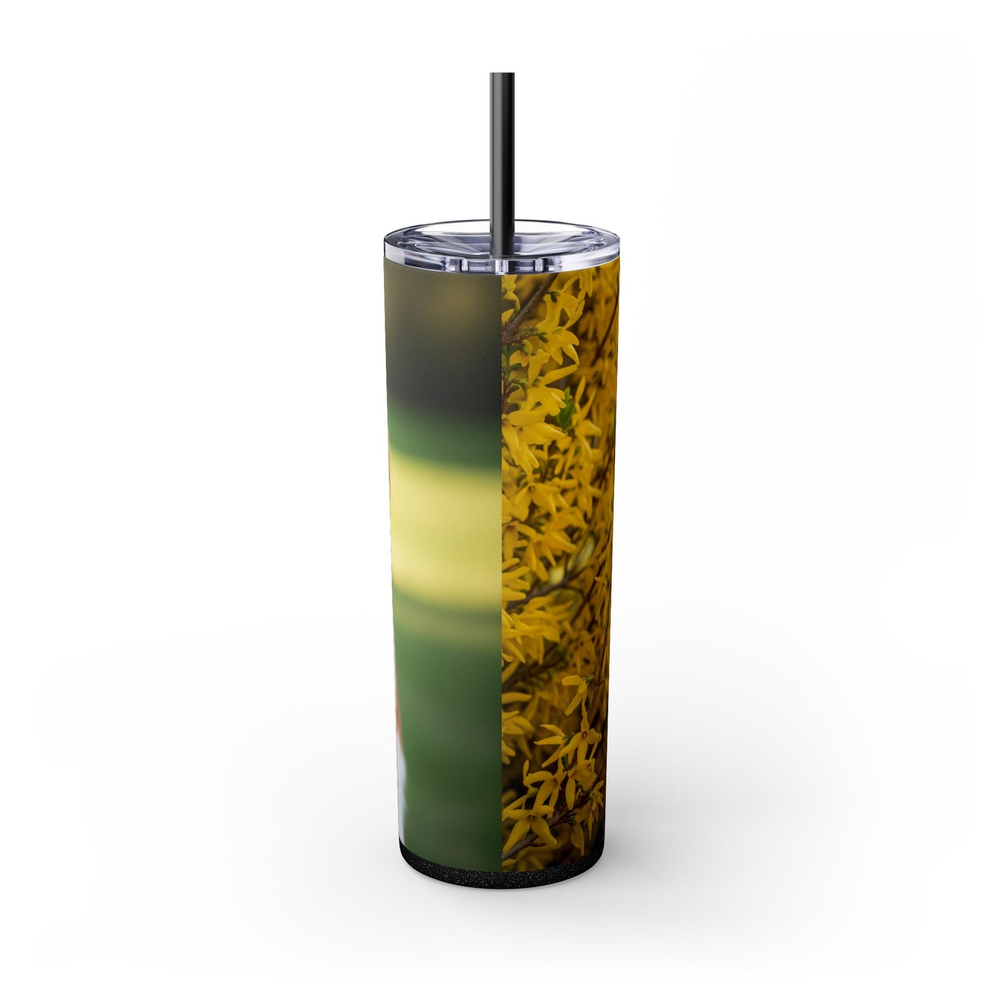 Brittany Dog Tumbler with Straw, 20oz