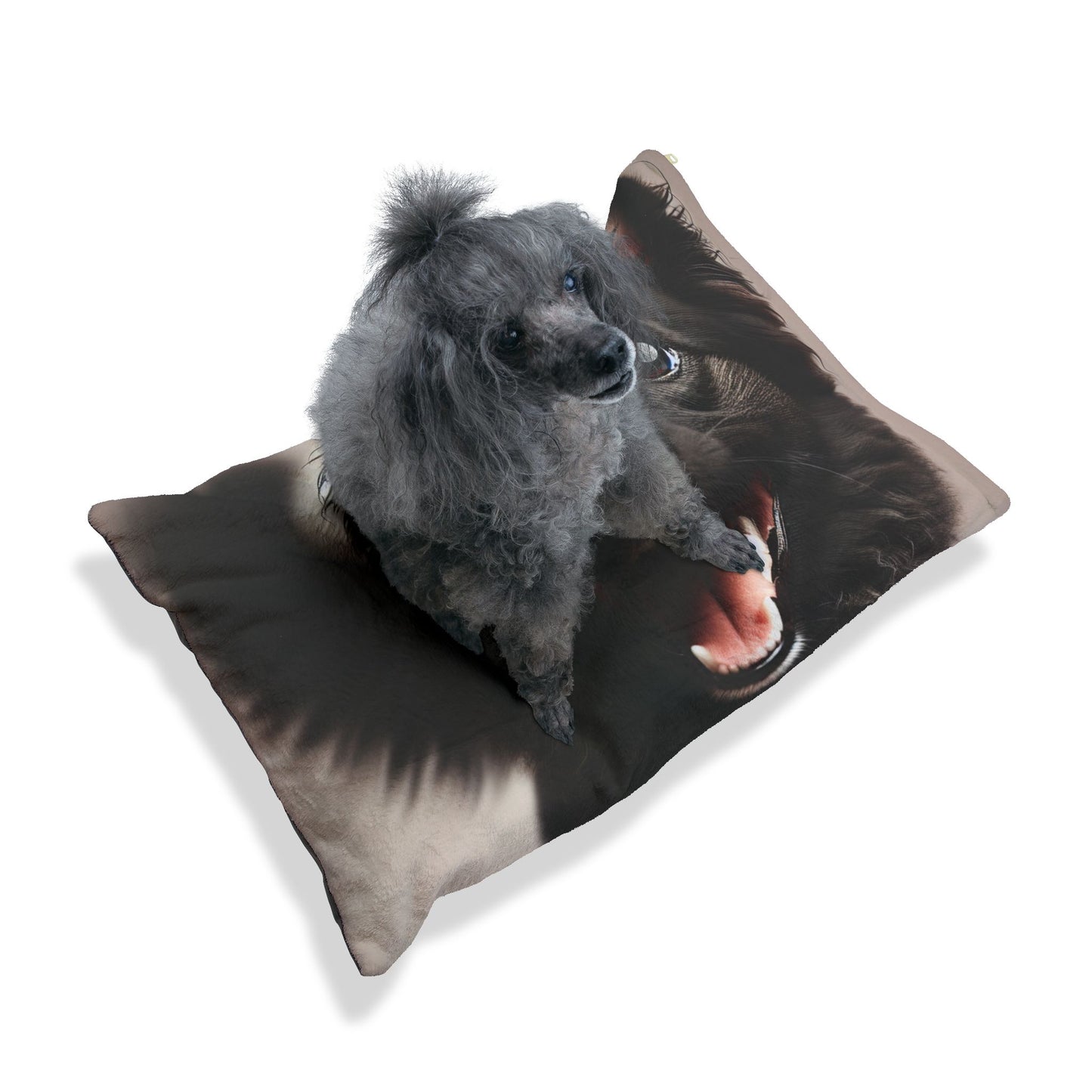 Mudi Pet Bed
