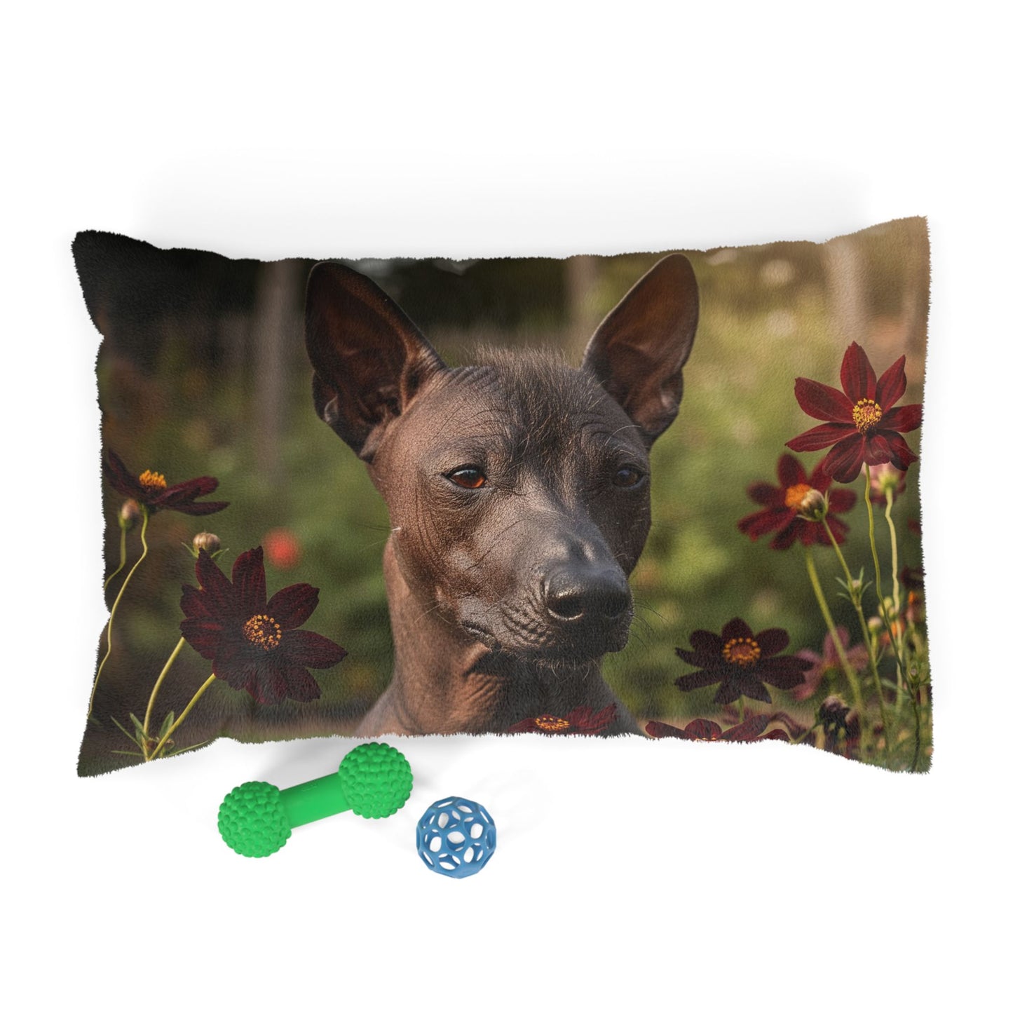 Xoloitzcuintli Pet Bed