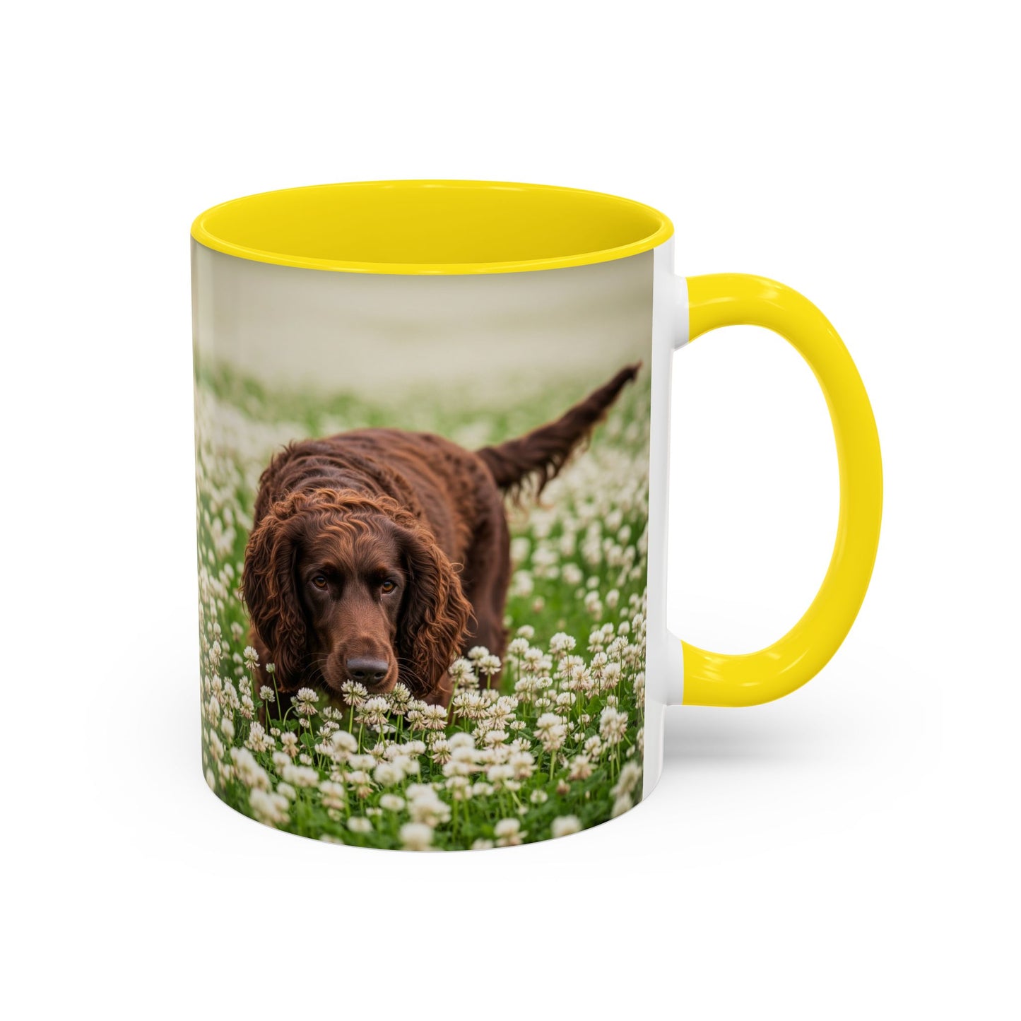 Irish Water Spaniel Accent Coffee Mug - Perfect Gift for Dog Lovers