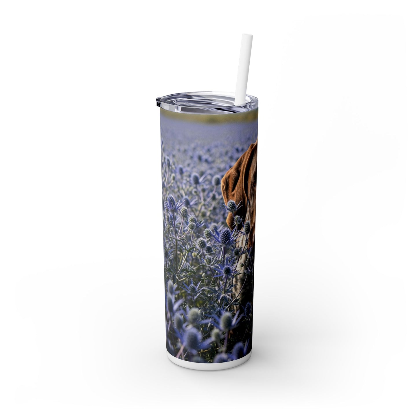 German Shorthaired Pointer Tumbler with Straw, 20oz
