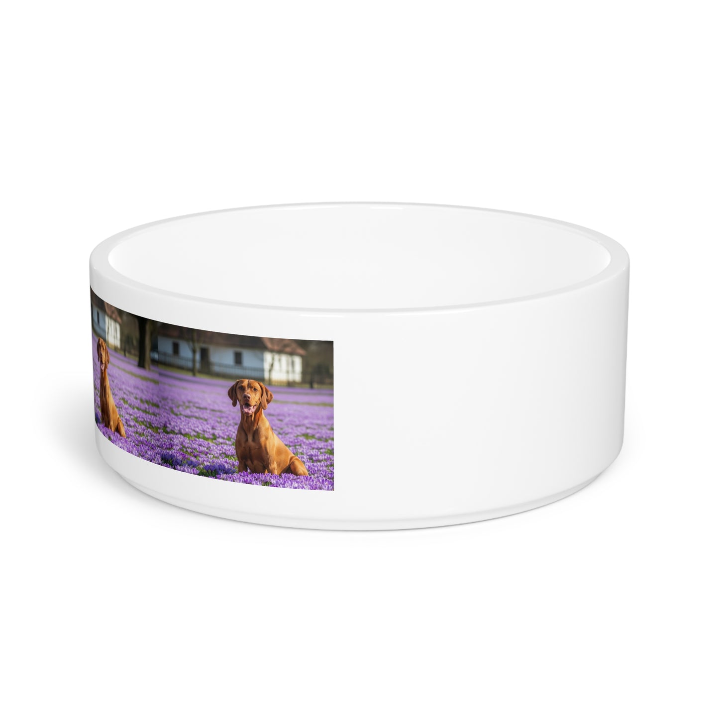 Vizsla Pet Bowl