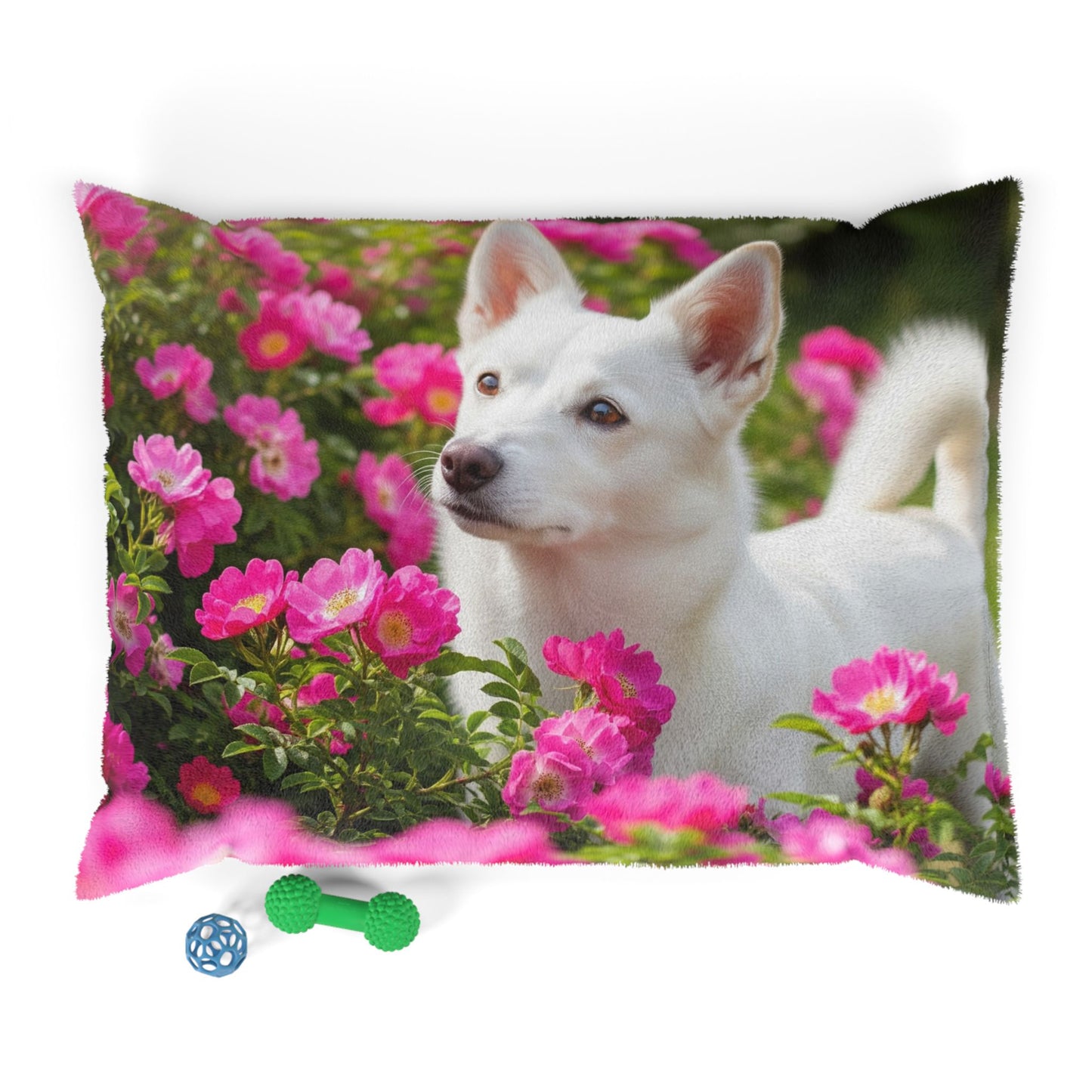 Norrbottenspets Pet Bed