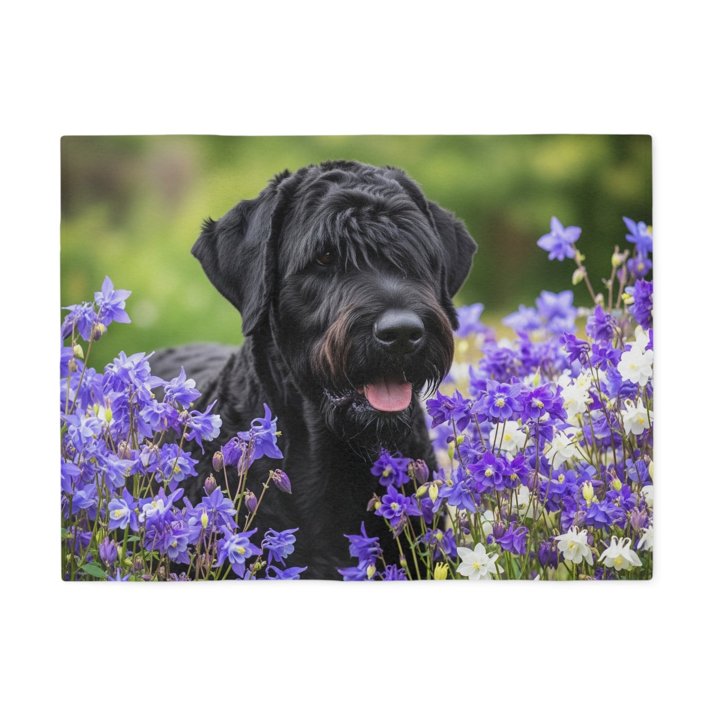 Black Russian Terrier Sweatshirt Blanket