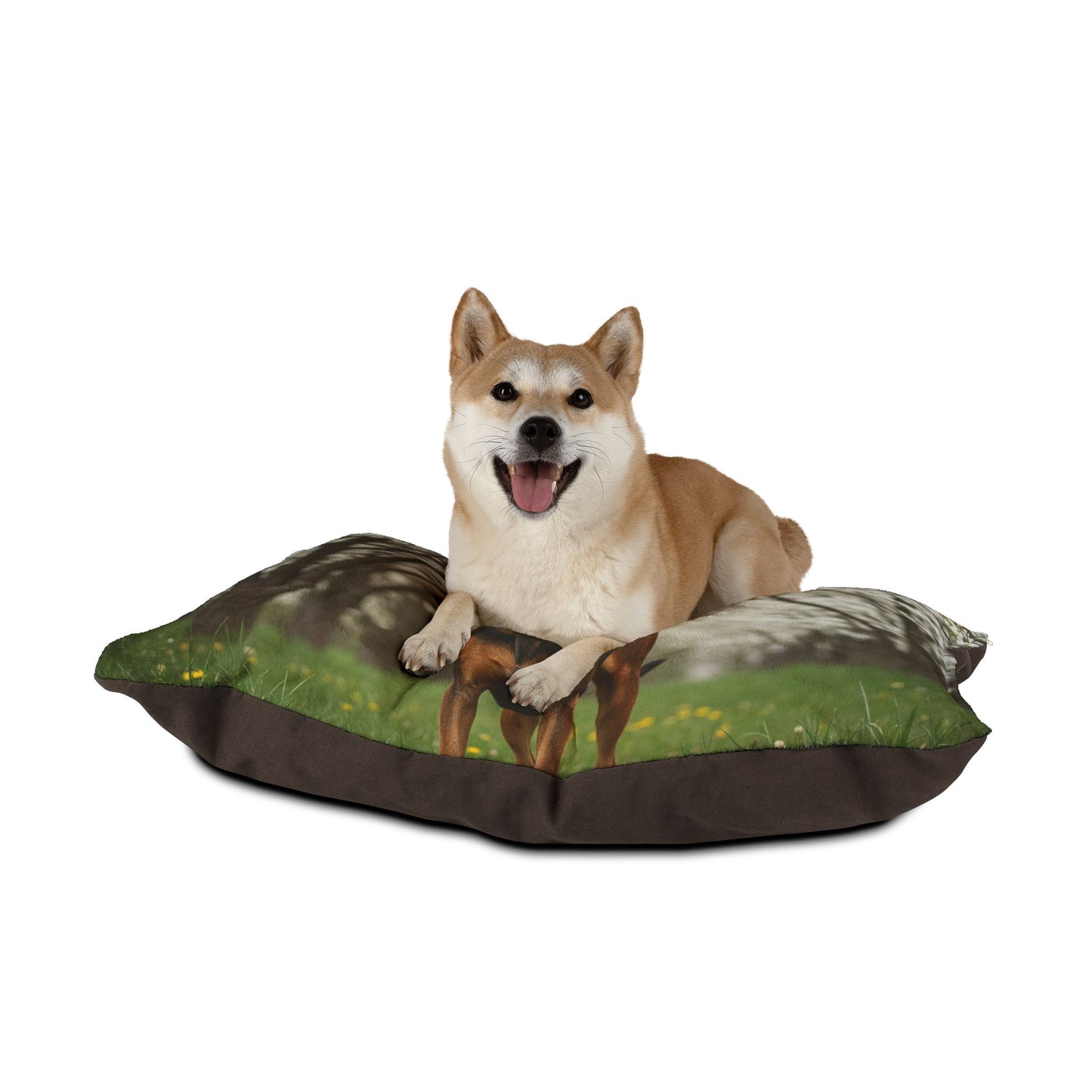 Plott Hound Pet Bed