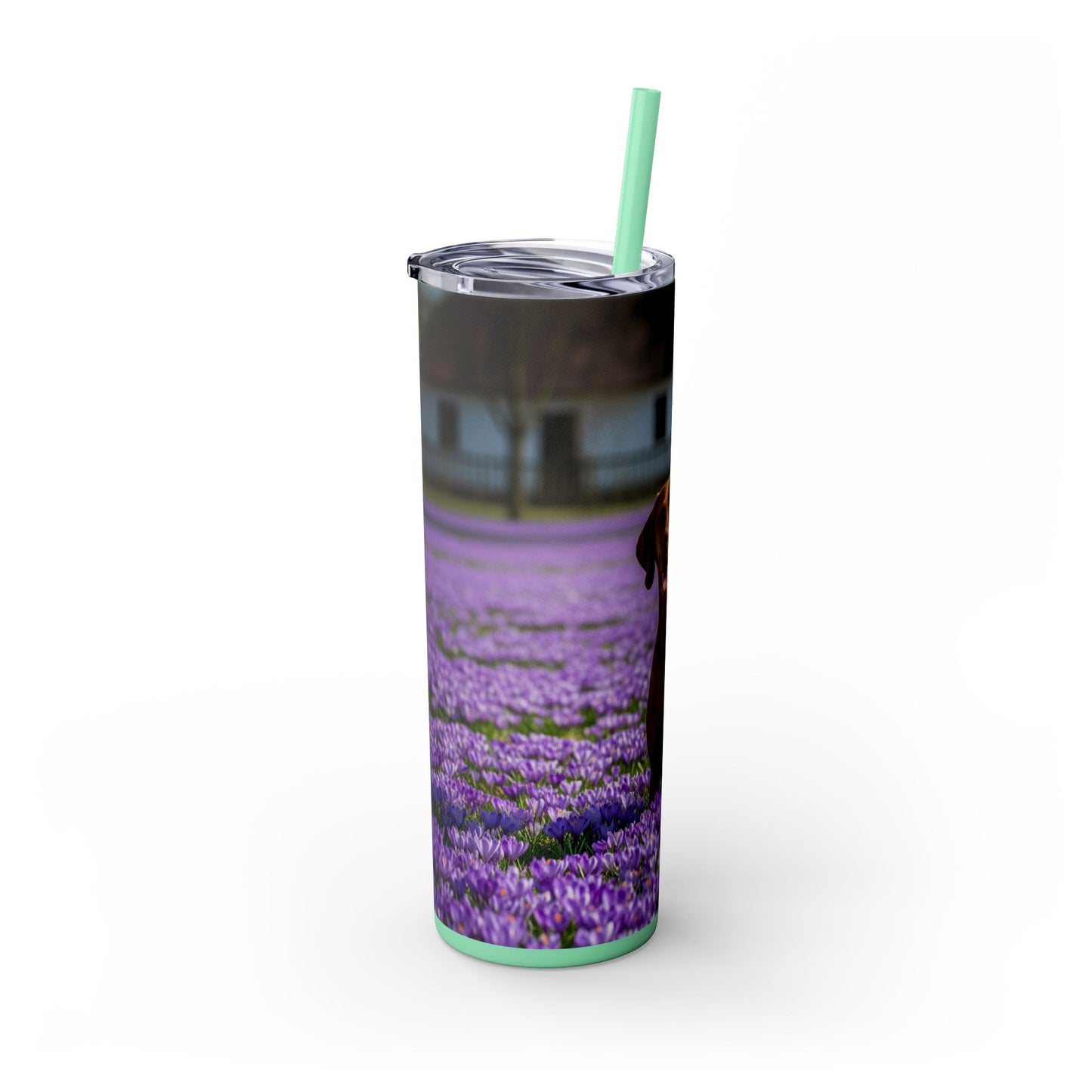 Vizsla Tumbler with Straw, 20oz