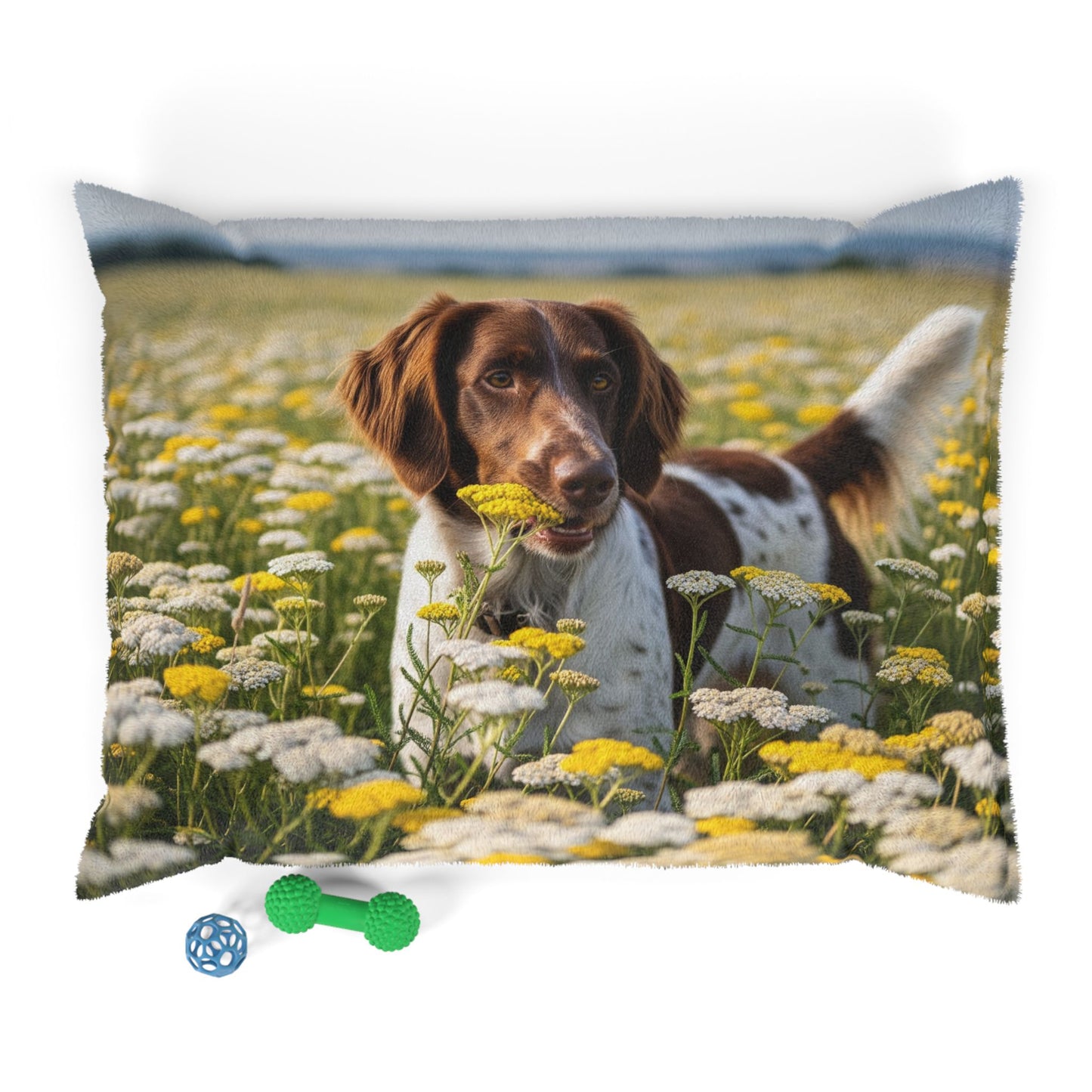 Drentsche Patrijshond Pet Bed