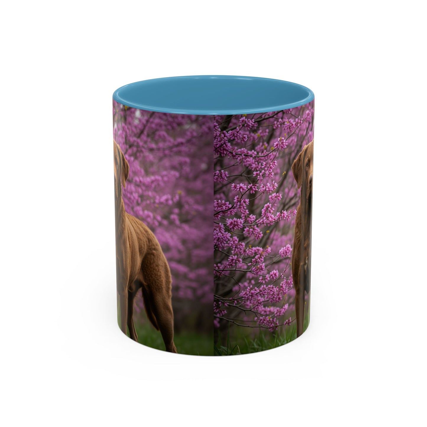 Chesapeake Bay Retriever Accent Coffee Mug - Perfect Gift for Dog Lovers