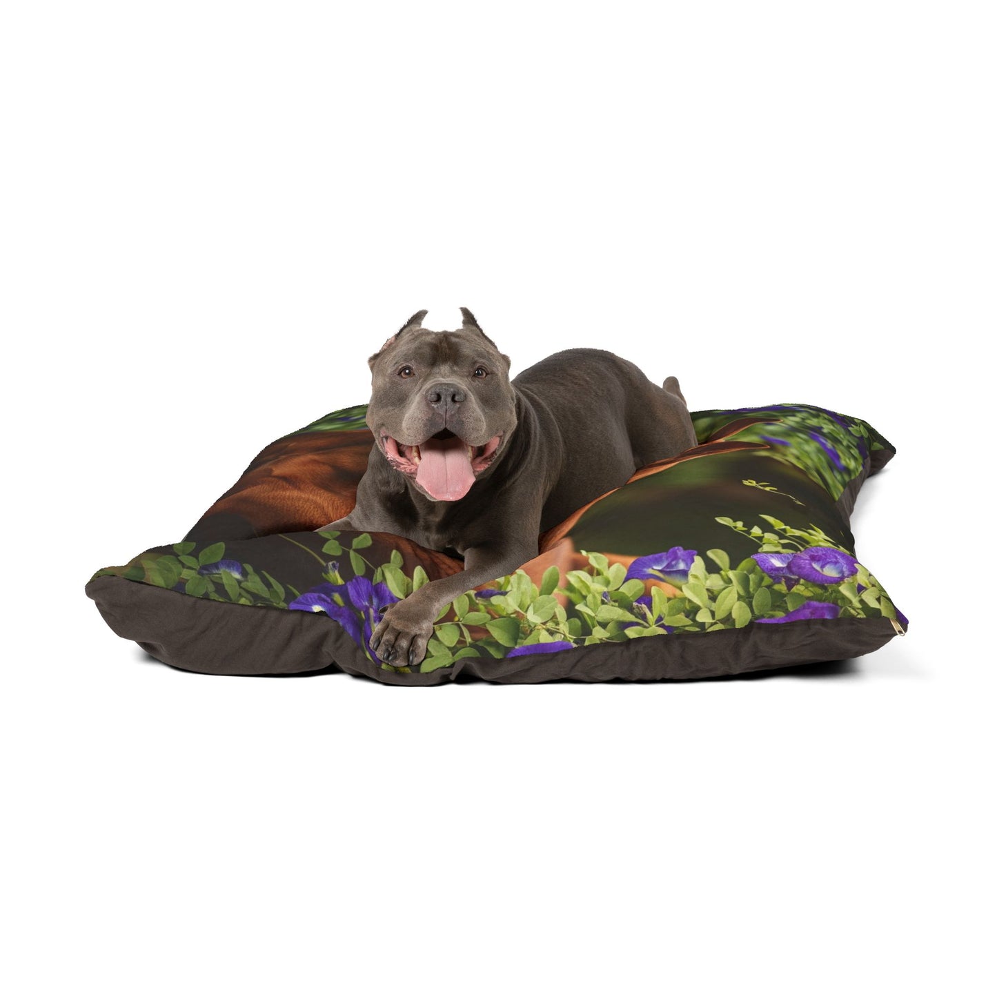 Thai Ridgeback Pet Bed