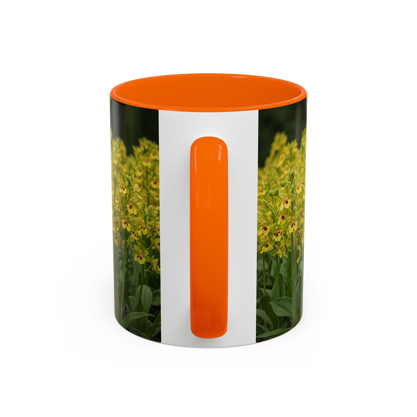 Basenji Accent Coffee Mug - Perfect Gift for Dog Lovers
