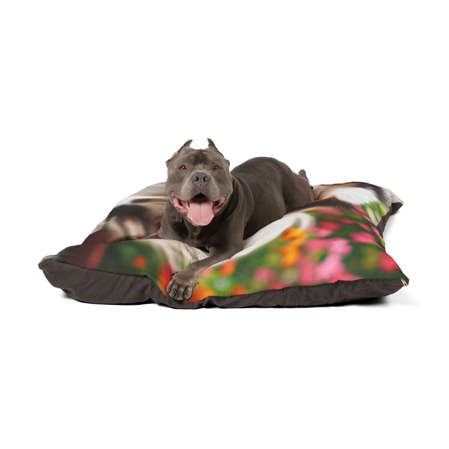 Japanese Chin Pet Bed