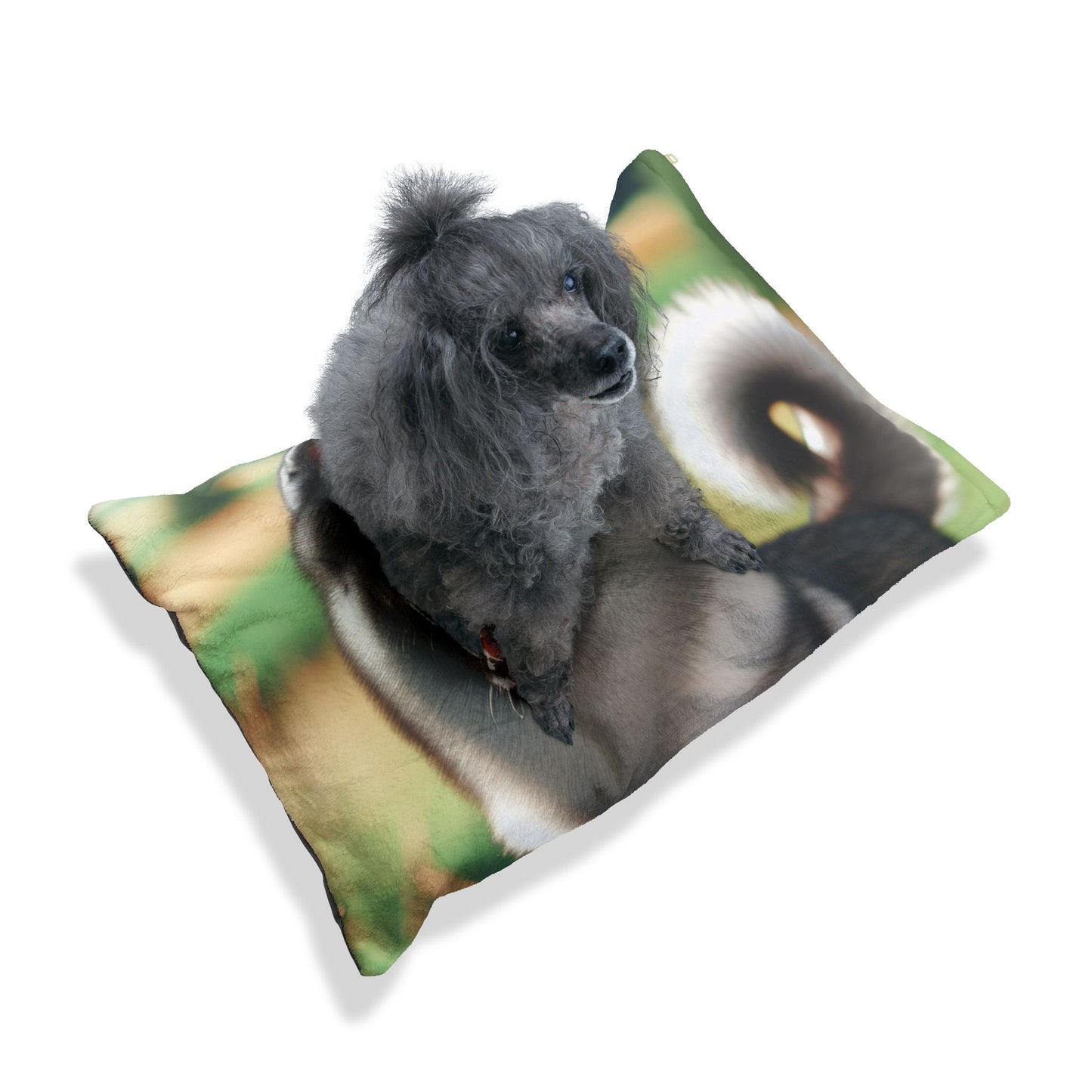 Norwegian Elkhound Pet Bed