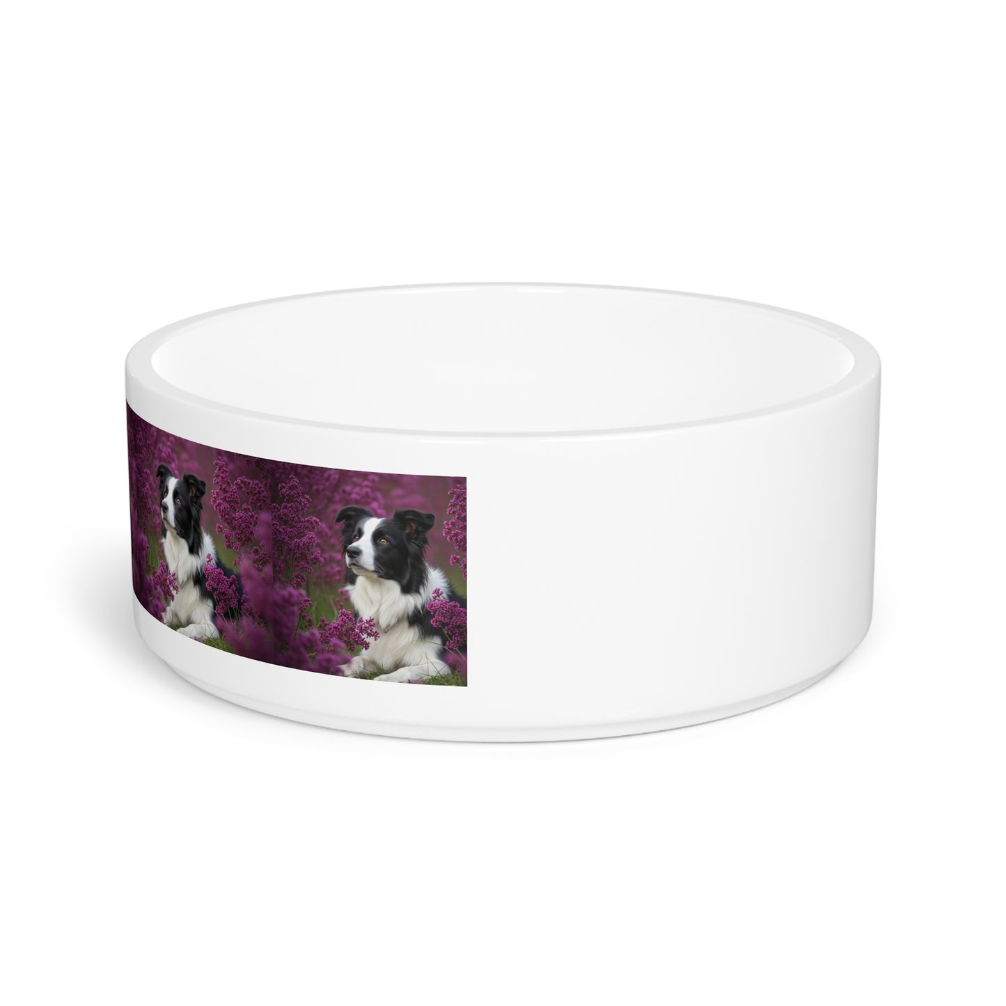 Border Collie Pet Bowl