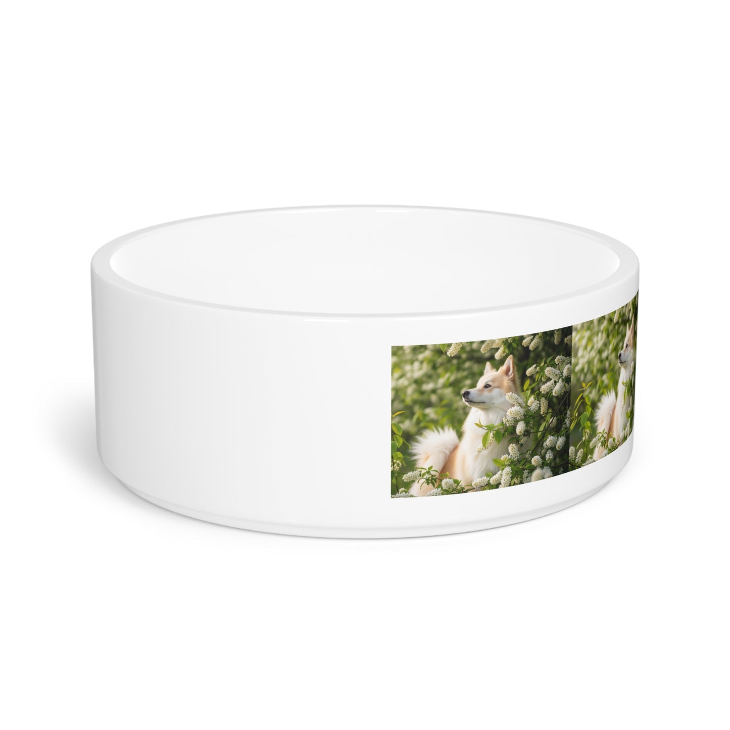 Finnish Spitz Pet Bowl