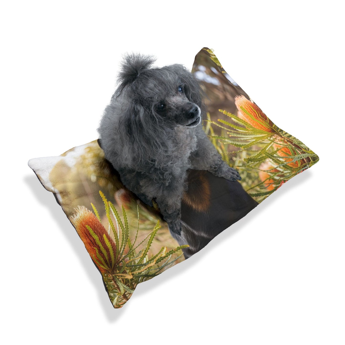 Working Kelpie Pet Bed