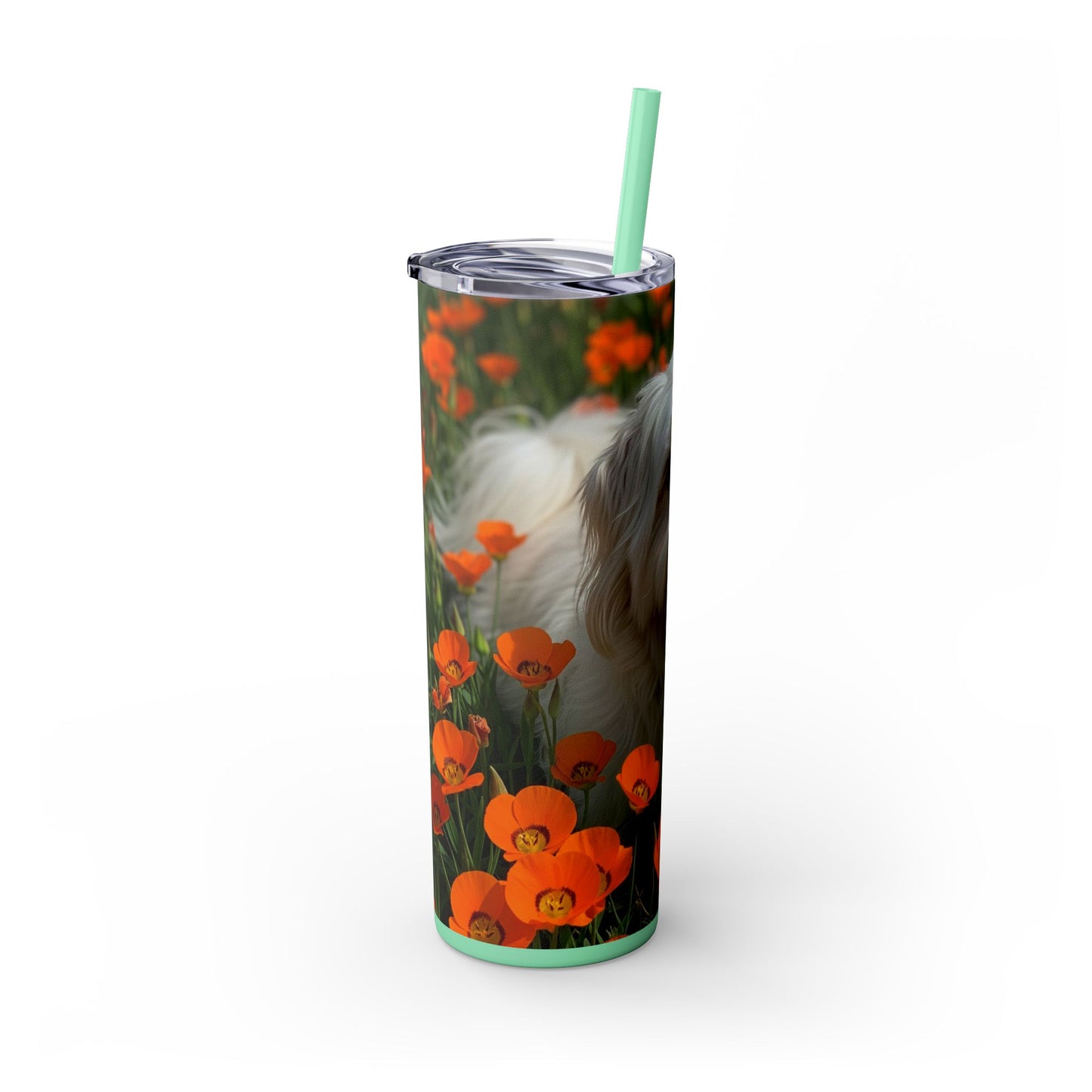 Havanese Tumbler with Straw, 20oz