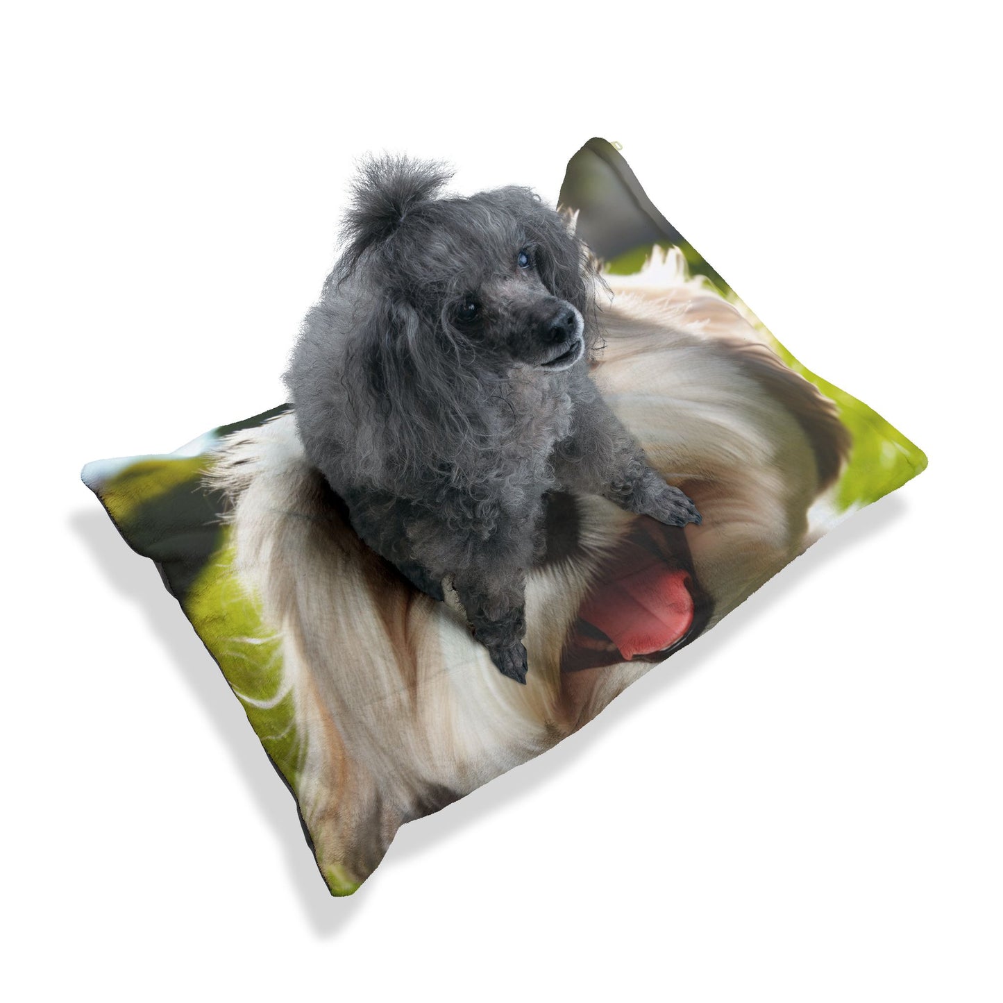 Havamalt Pet Bed