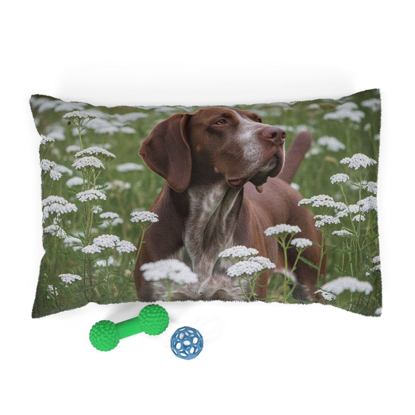 Braque du Bourbonnais Pet Bed