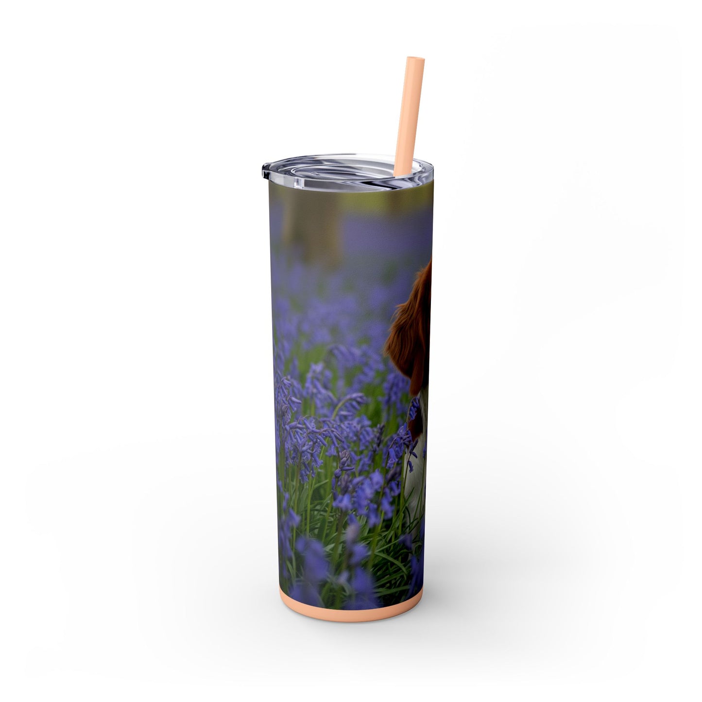 Welsh Springer Spaniel Skinny Tumbler with Straw, 20oz