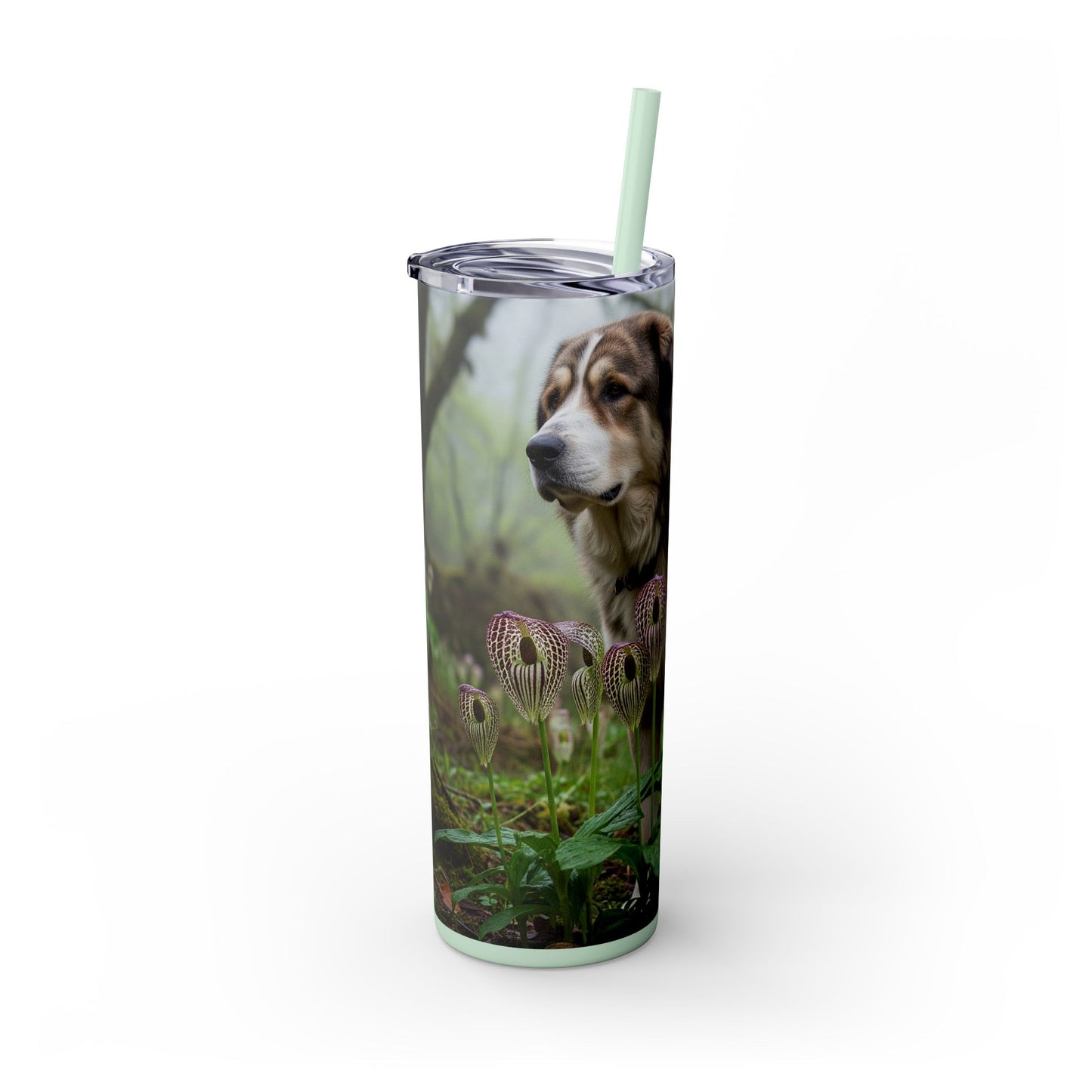 Bakharwal Tumbler with Straw, 20oz