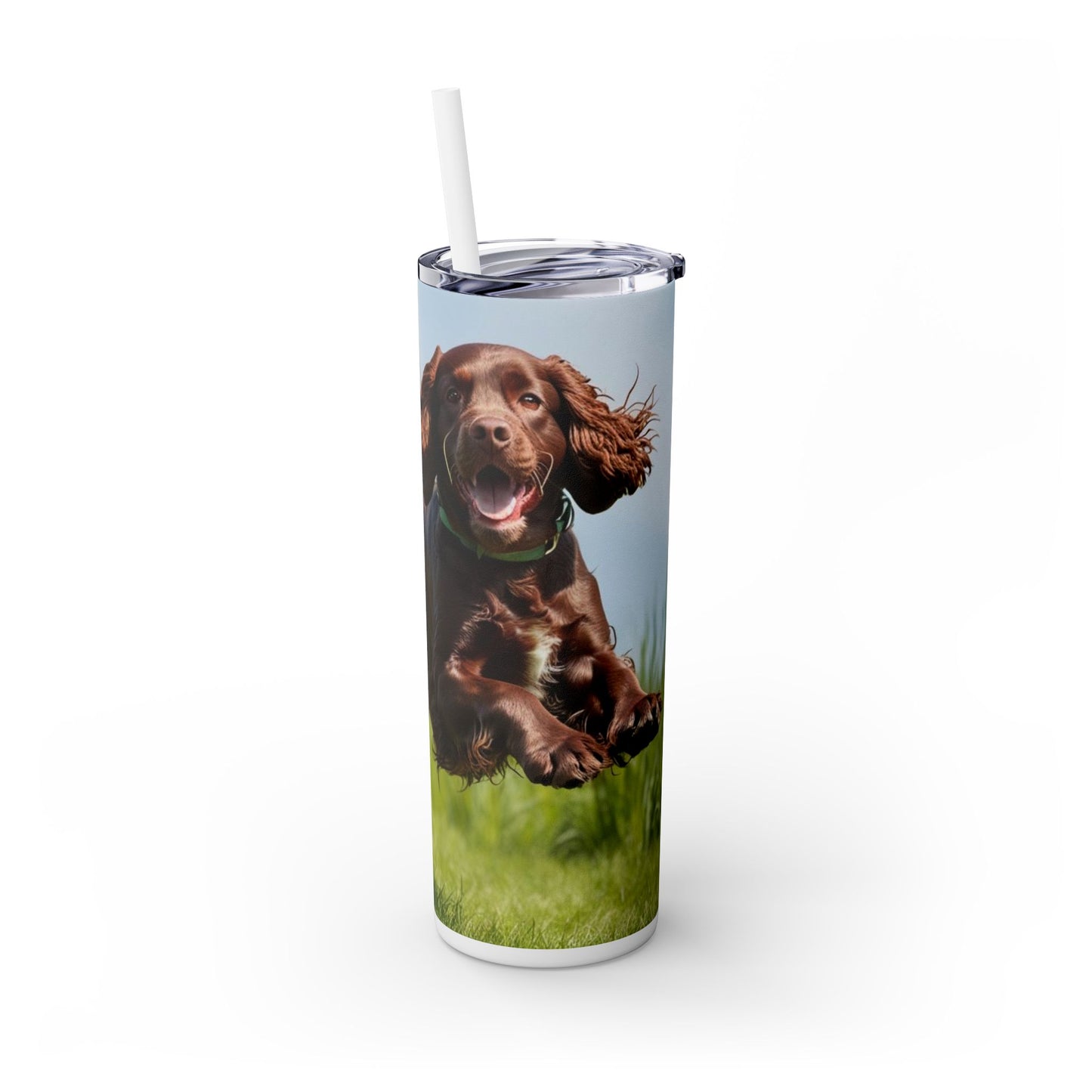 Irish Water Spaniel Tumbler with Straw, 20oz