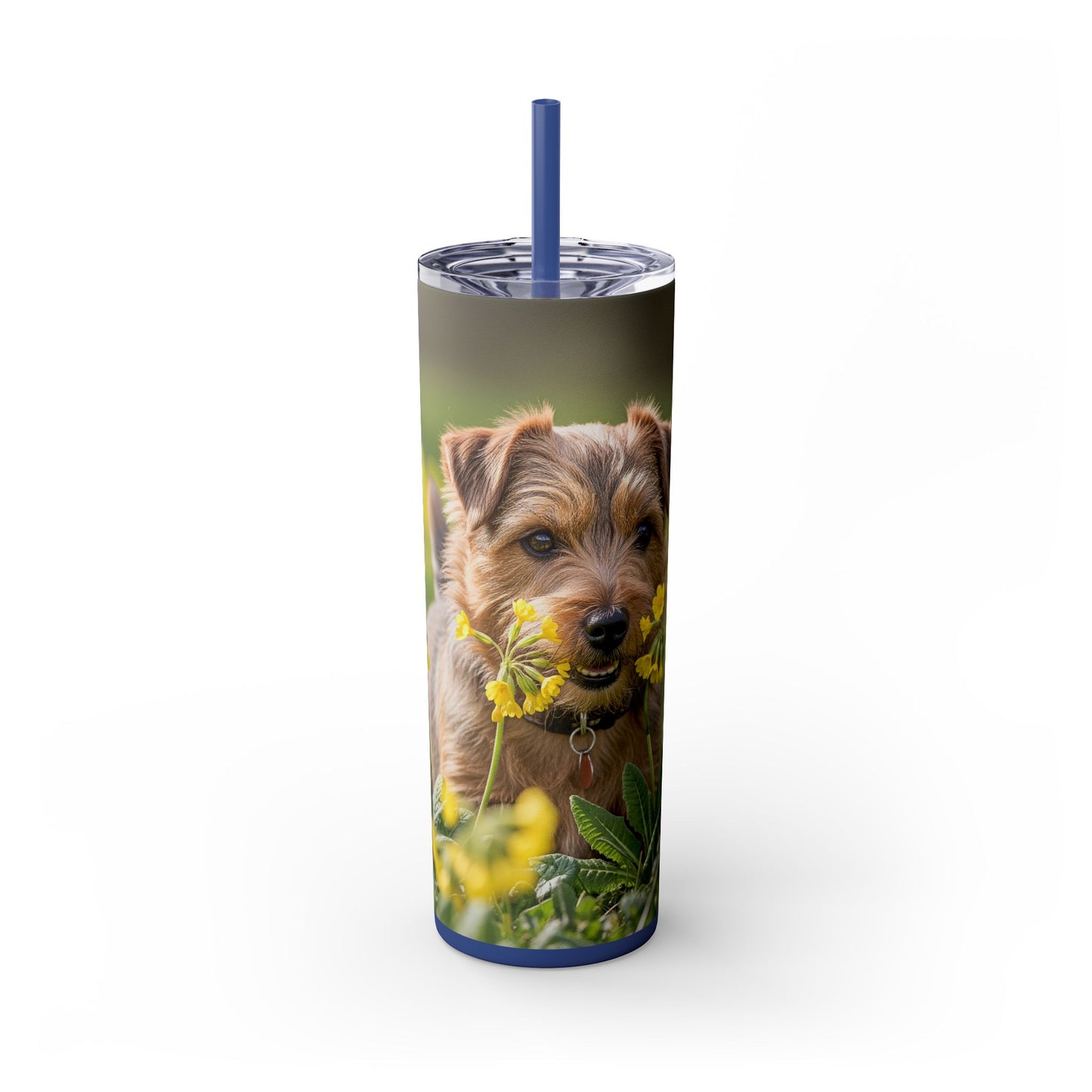 Norfolk Terrier Skinny Tumbler with Straw, 20oz