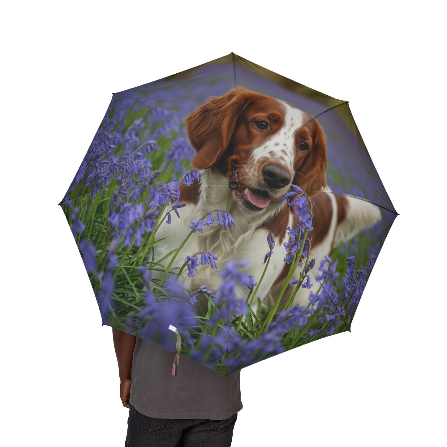 Welsh Springer Spaniel Semi-Automatic Foldable Umbrella