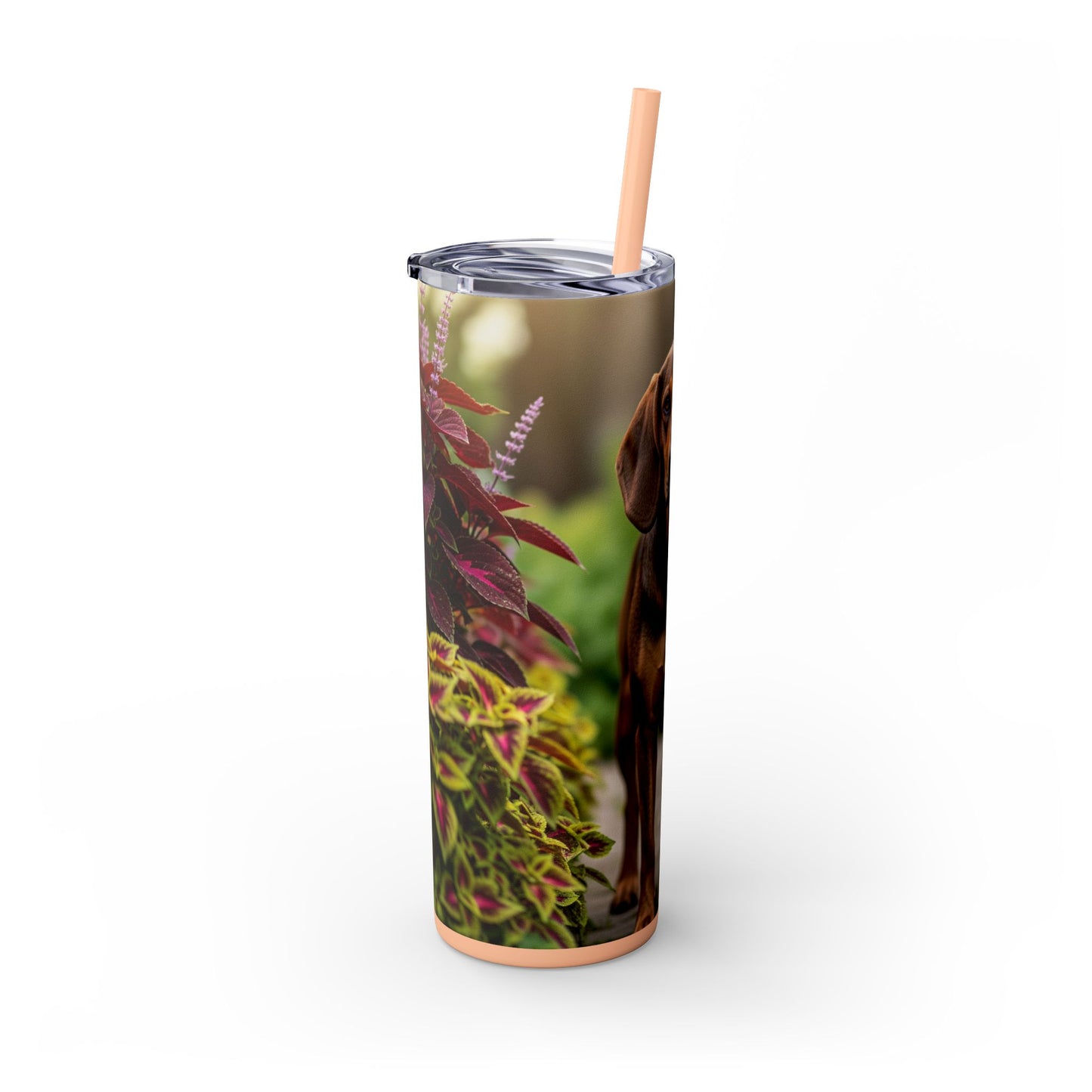 Hamiltonstovare Tumbler with Straw, 20oz