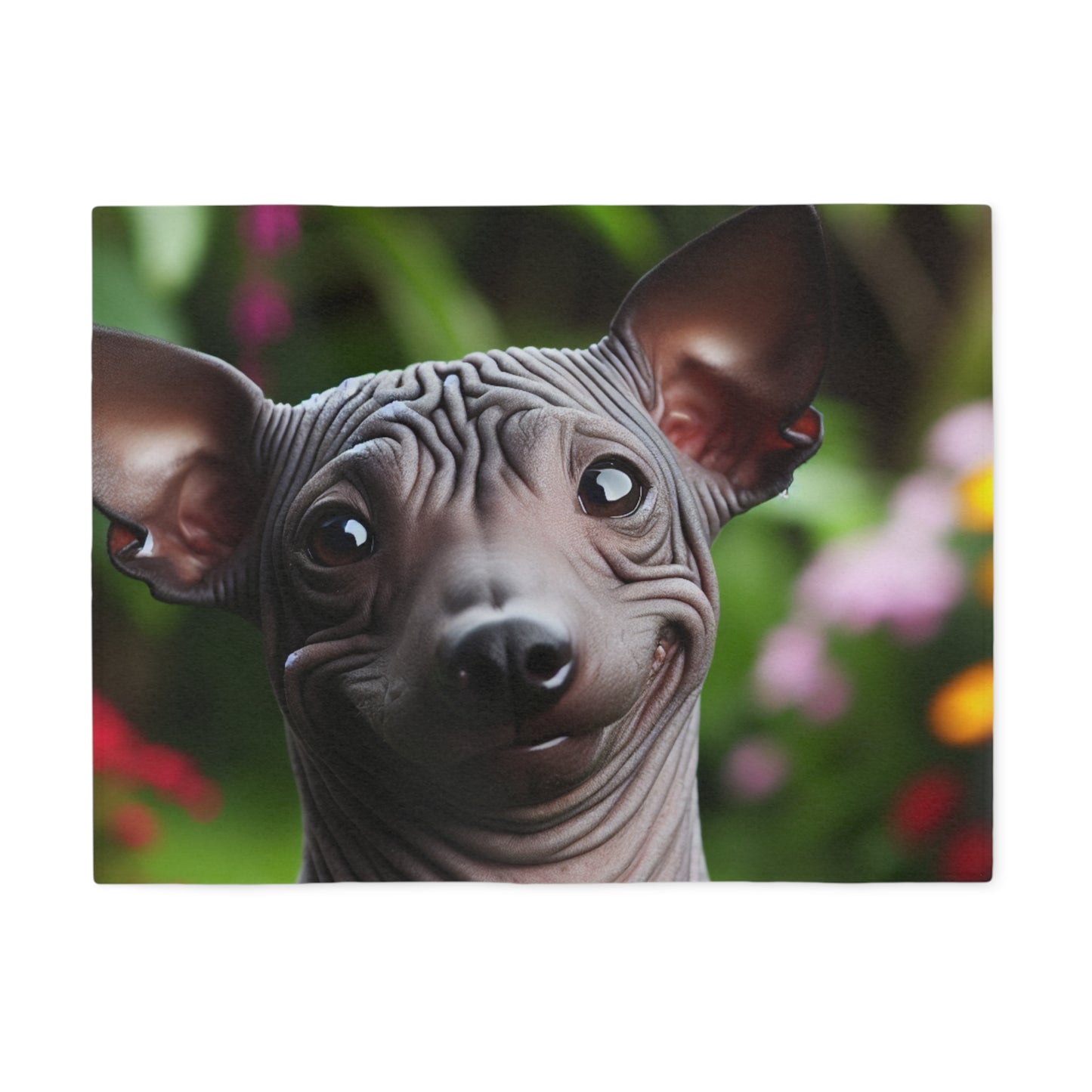 Peruvian Hairless Dog Sweatshirt Blanket